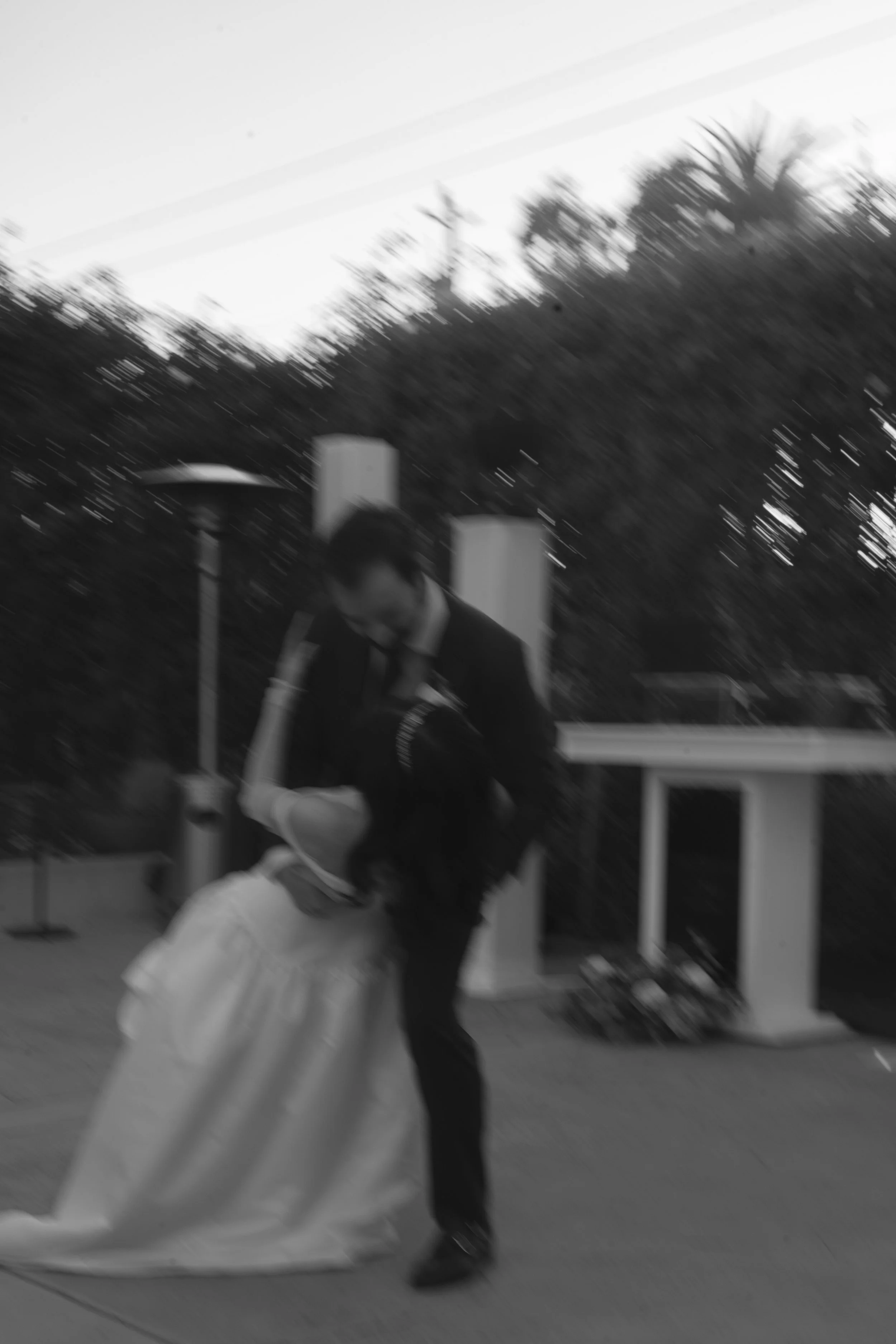 DSC03855.jpg