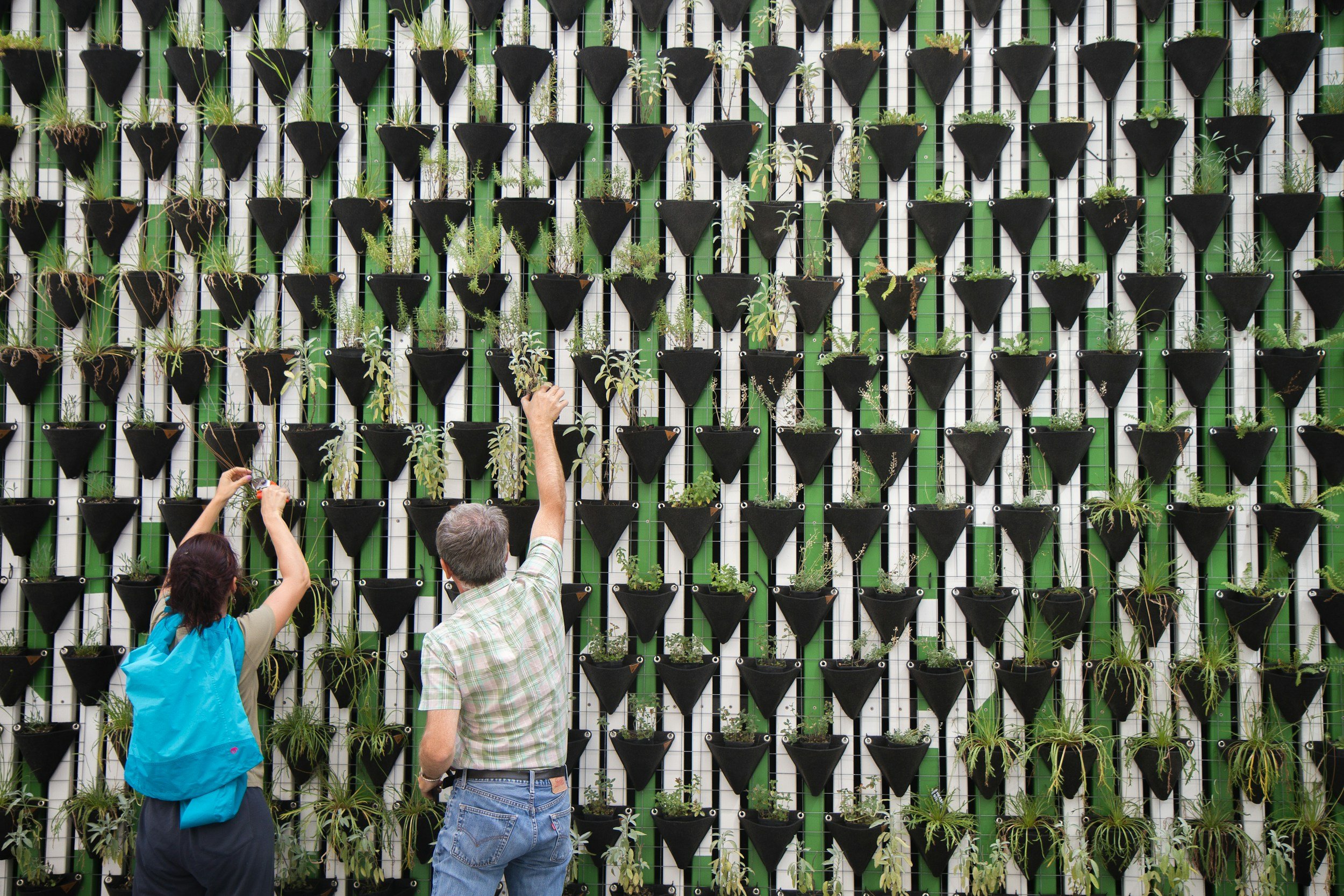 Two people gardening on a vertical wall with numerous black planters filled with green plants, attached to a green and white grid structure.
