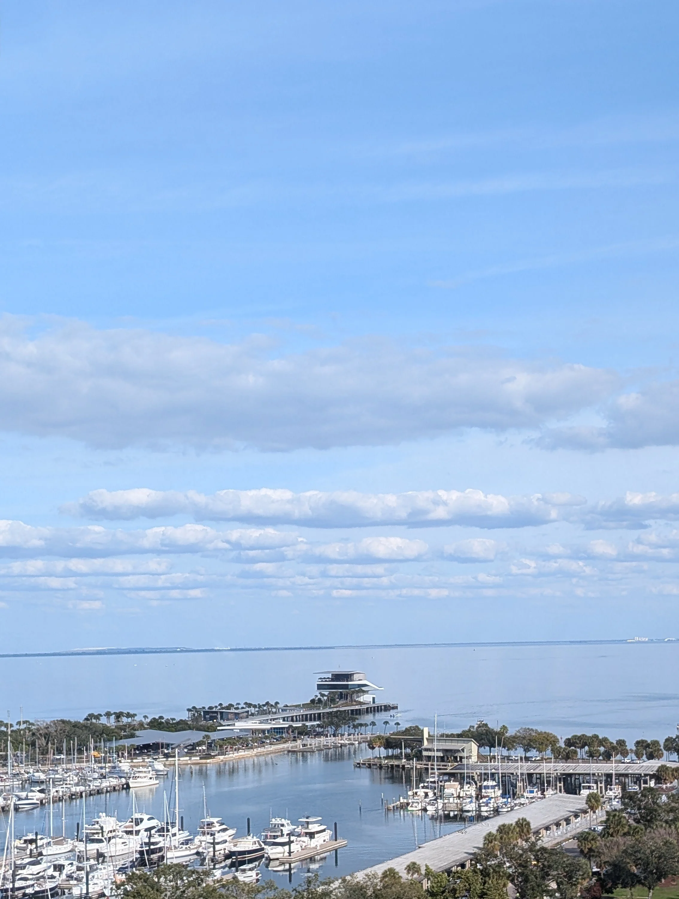 1.16.2026 st pete.jpg