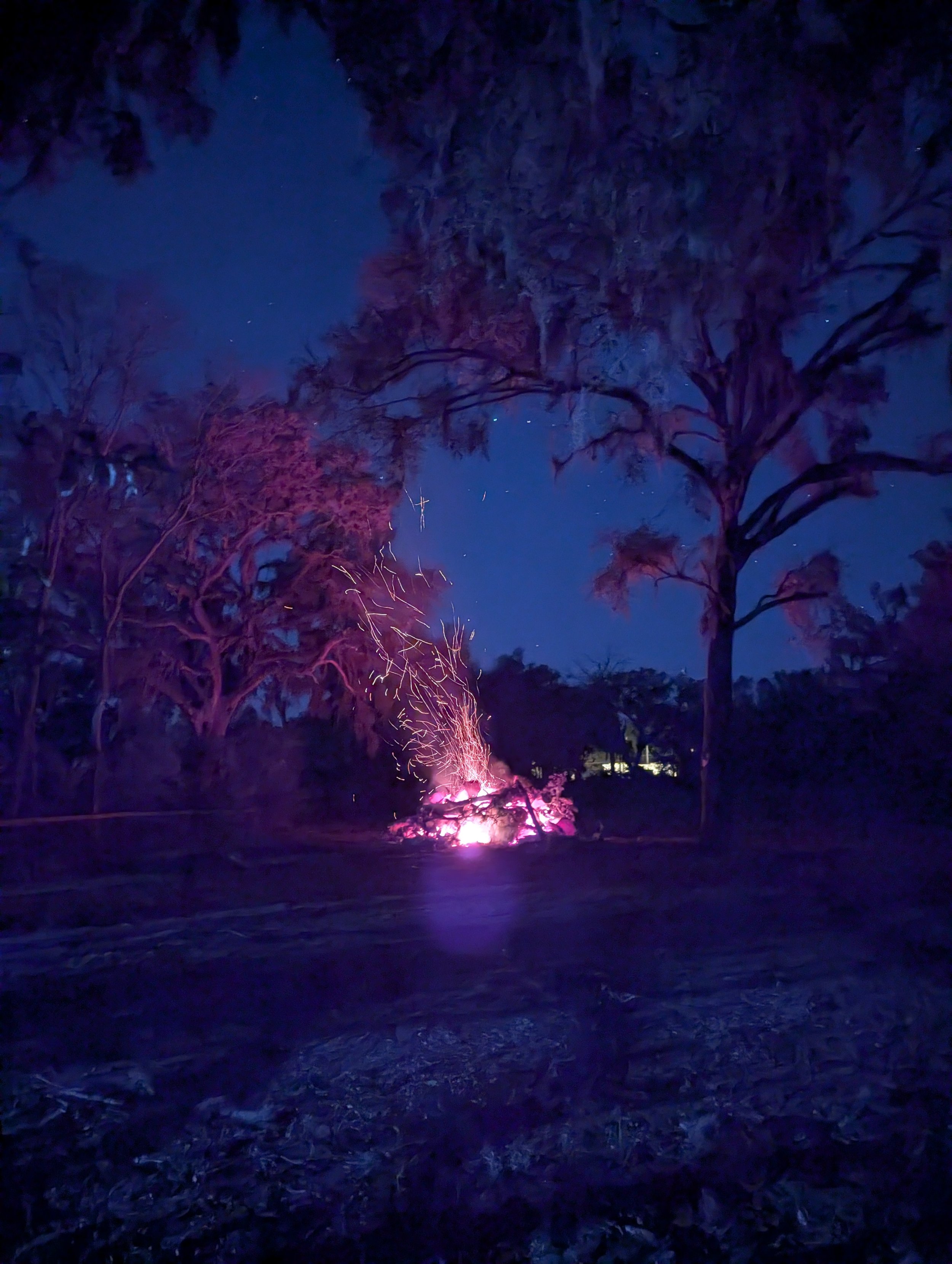 Universal Sonic Greeting Card