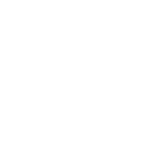 LVMZ_WEBPRESS_en.viva.png