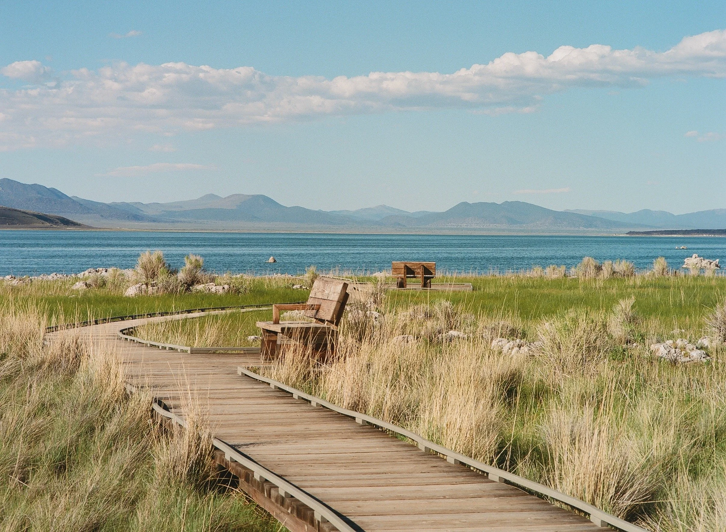 Road Trip Series - Mono Lake.jpeg