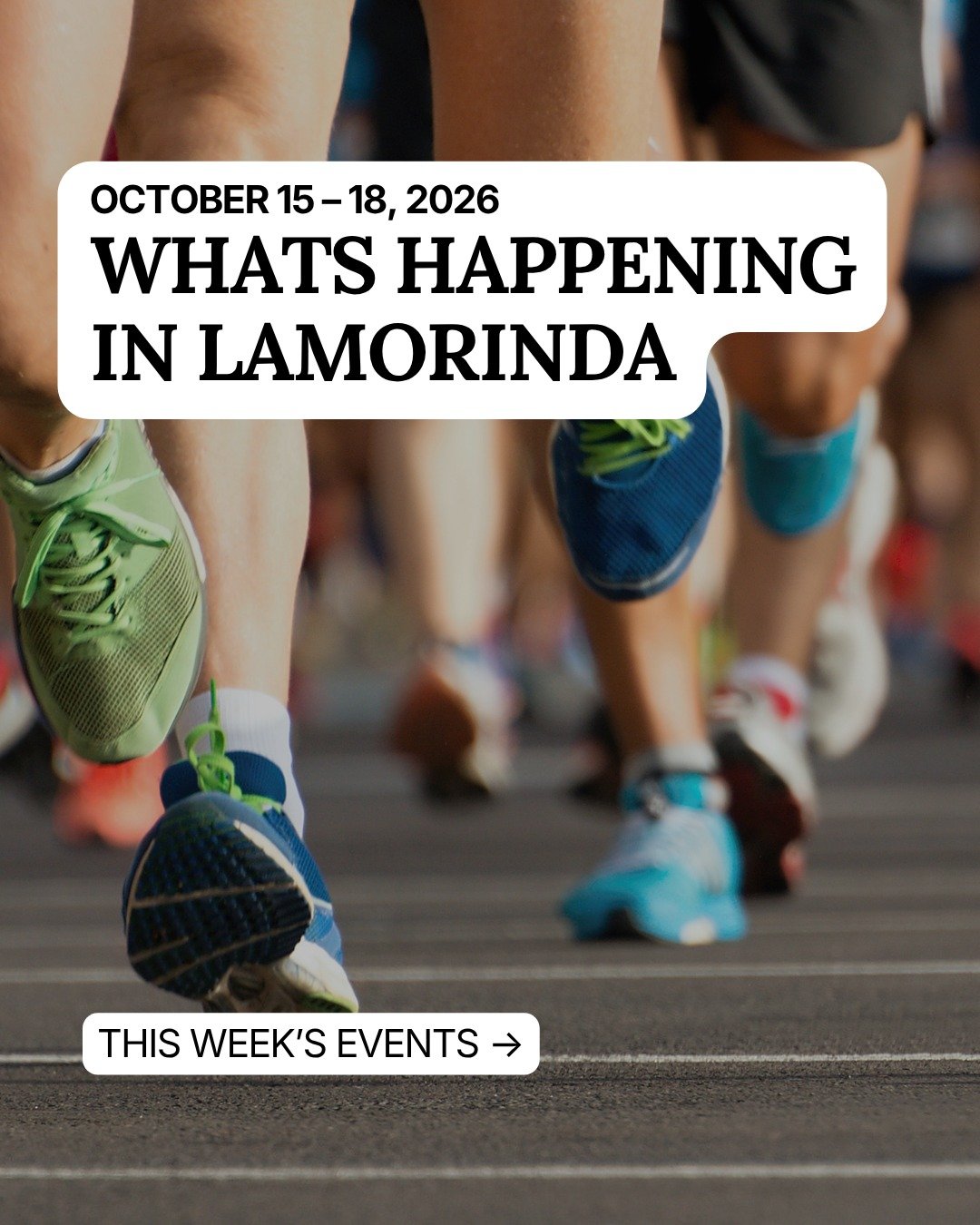 A Sunday run for our schools, with a little suspense and live music along the way.

Start with a free screening of Psycho at Orinda Theatre on Thursday, then hear Steep Canyon Rangers blend bluegrass and Americana at Siesta Valley Bowl on Friday. Sat