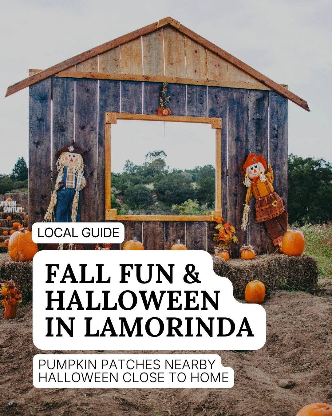 Still deciding where to pick a pumpkin or take the kids trick-or-treating? 🎃

Our Fall Fun &amp; Halloween guide brings together pumpkin patches worth a short drive and Halloween activities around Lafayette, Moraga, and Orinda. Find an afternoon at 