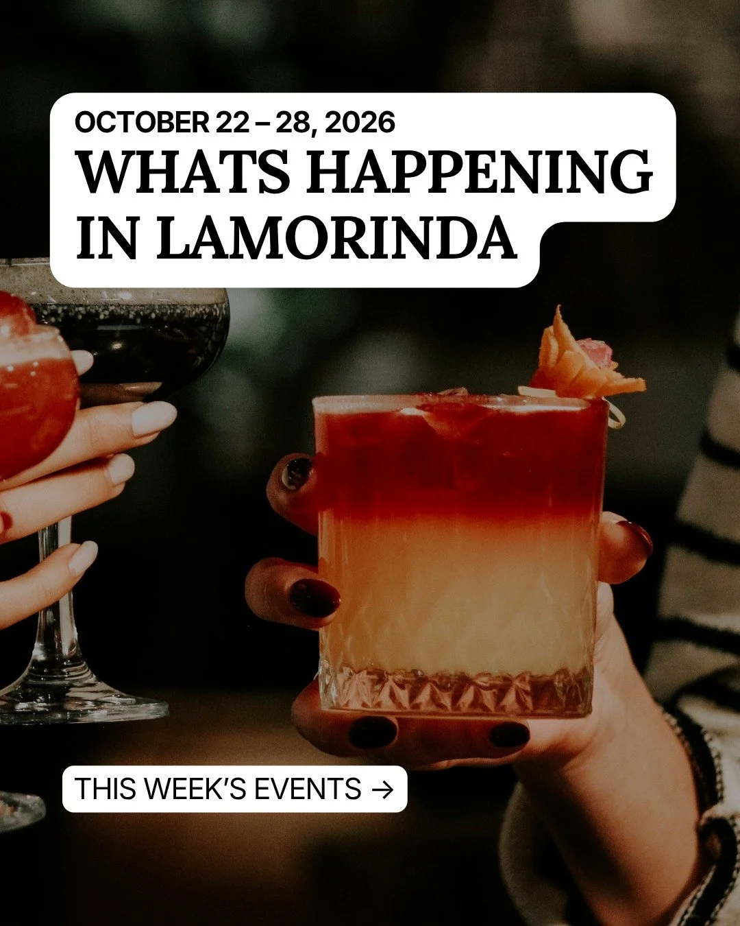 Witch hats, bargain books, and a monster movie with a live orchestra. Saturday brings Moraga Library&rsquo;s book sale, Lafayette&rsquo;s mocktail stroll, and Campolindo&rsquo;s Halloween carnival. Sunday, meet the horses at Xenophon&rsquo;s free Nei
