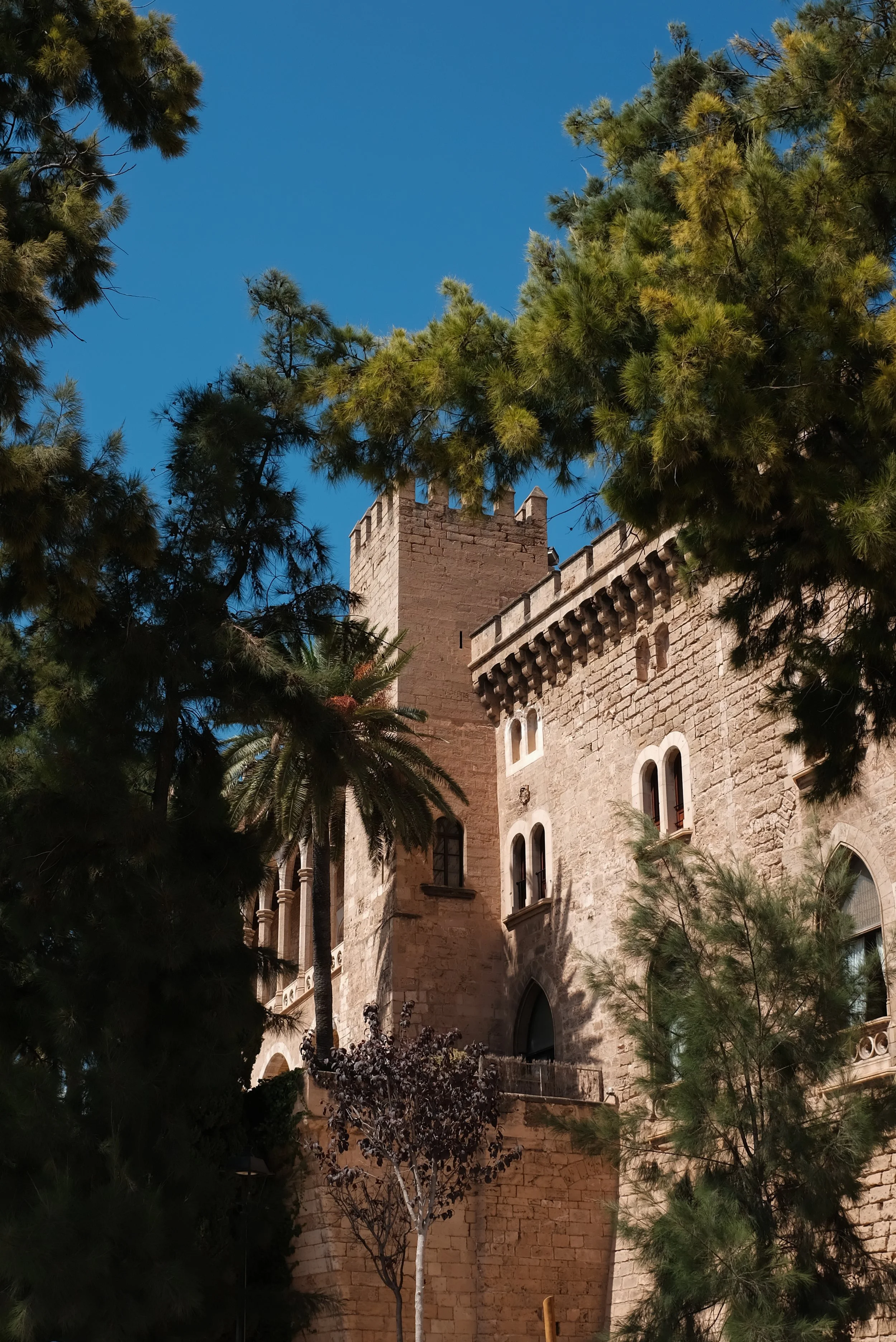 DSCF3063.jpg