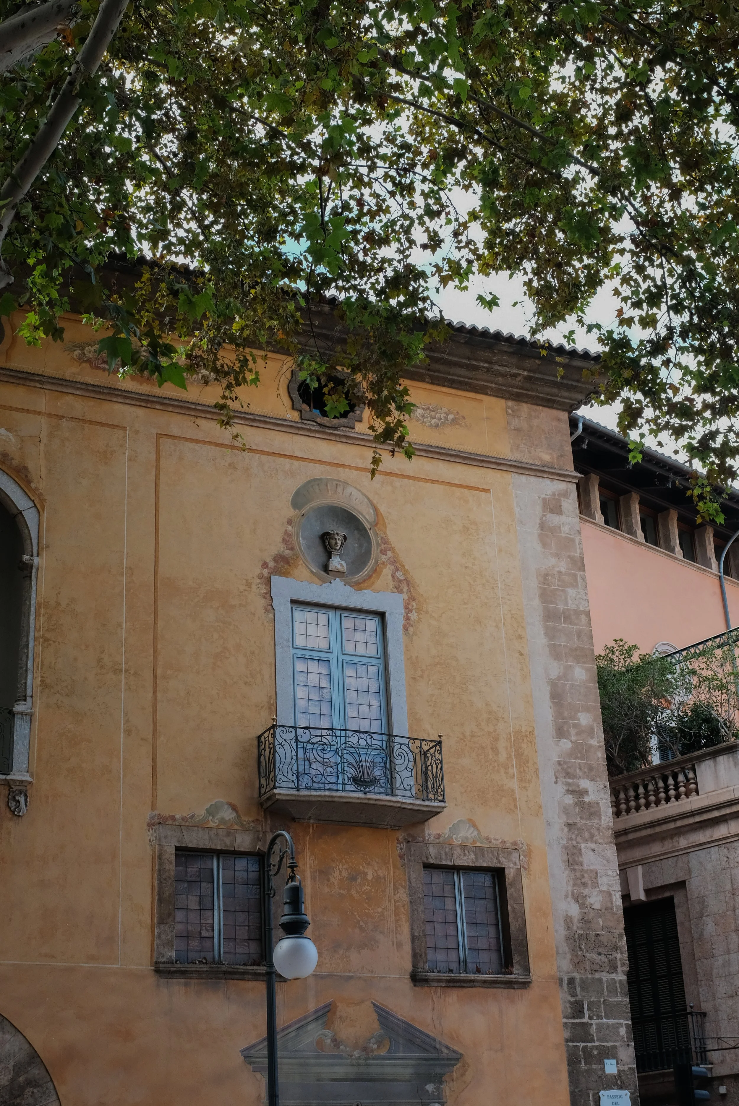 DSCF3126.jpg