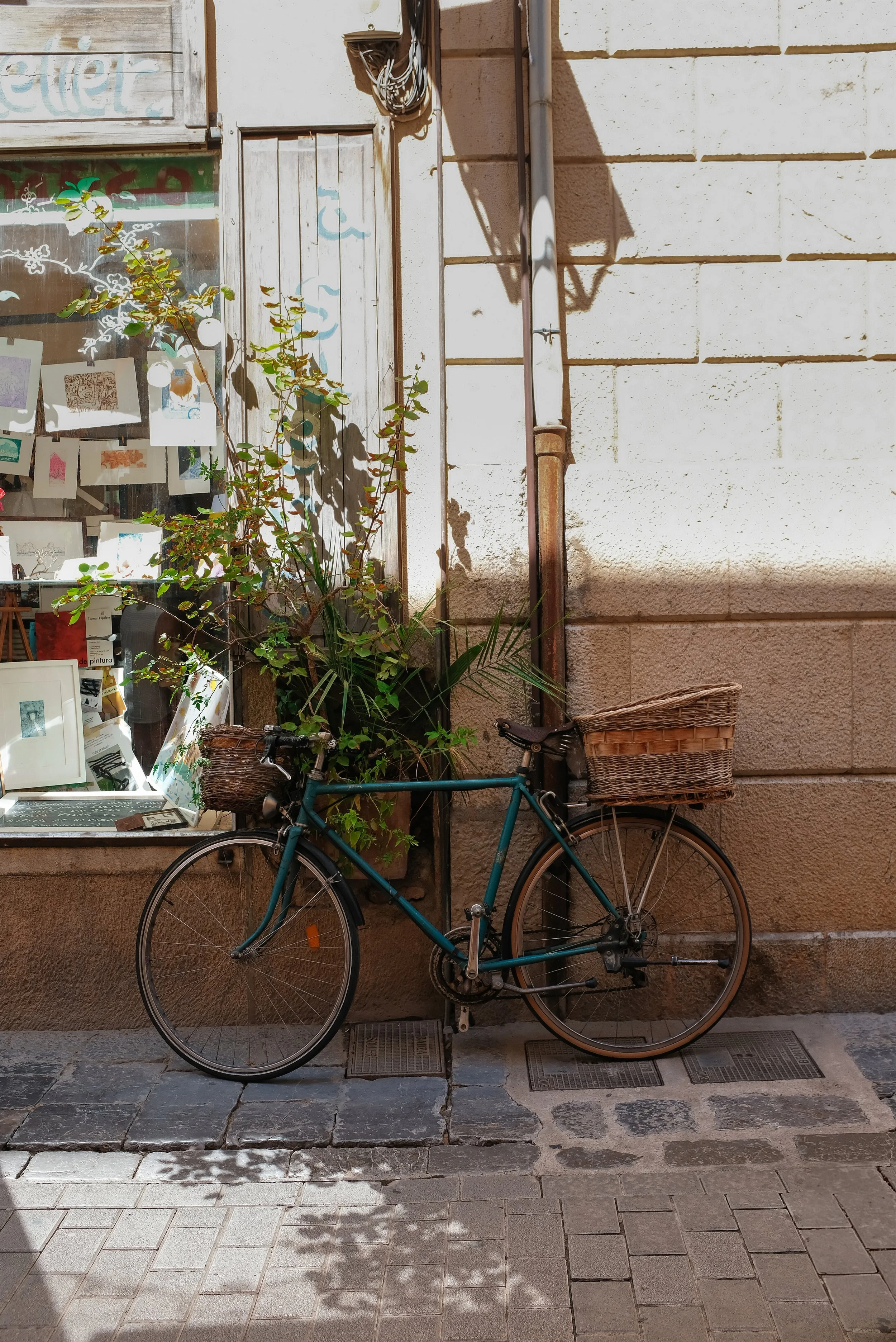 DSCF3530.jpg