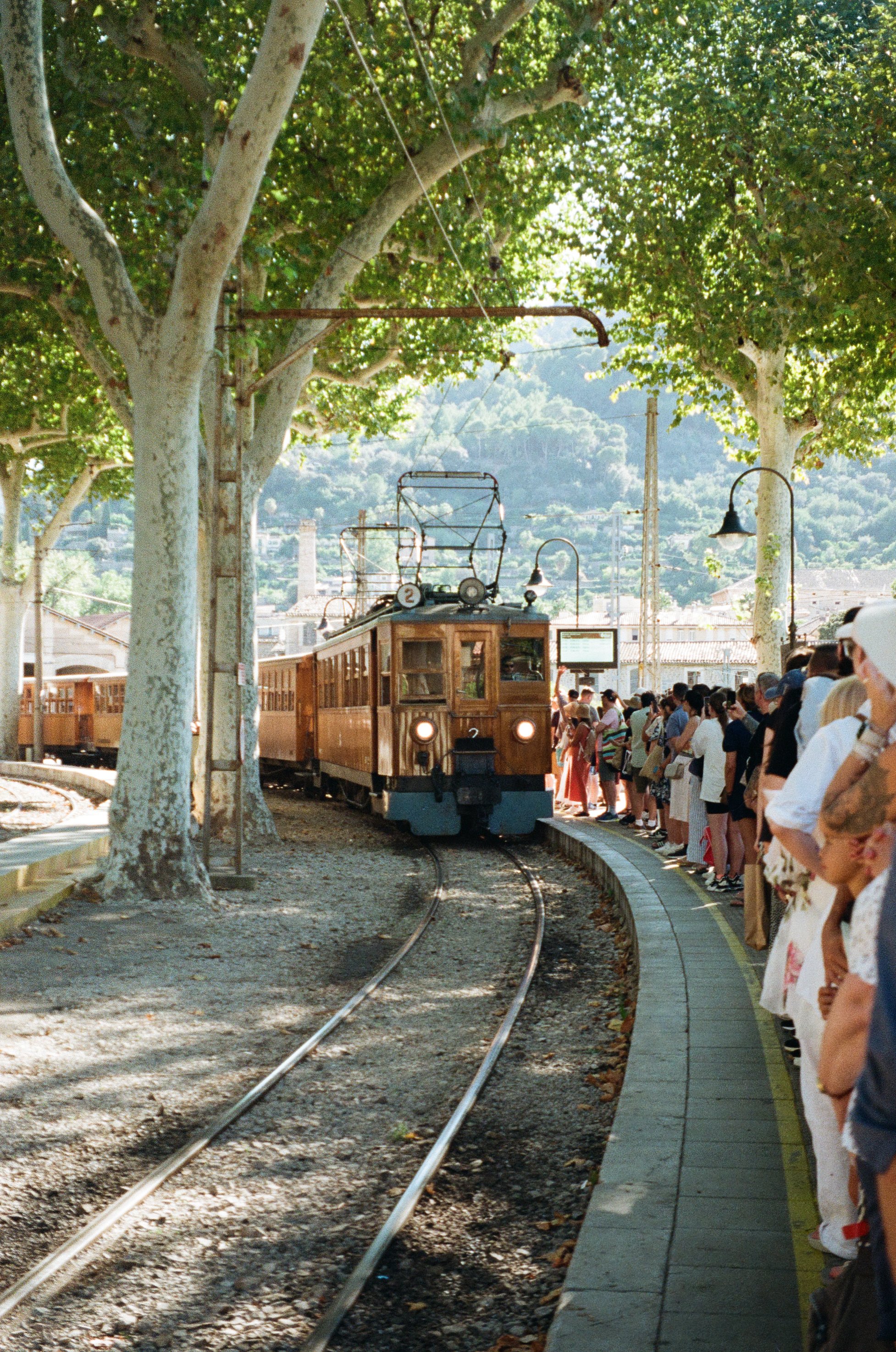 What to See in Palma de Mallorca and Sóller: A Mini Guide