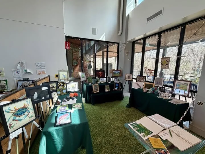An art display room with tables covered in greencloths, showcasing framed artwork of aquatic animals, including fish, crabs, and underwater scenes, with large windows letting in natural light.
