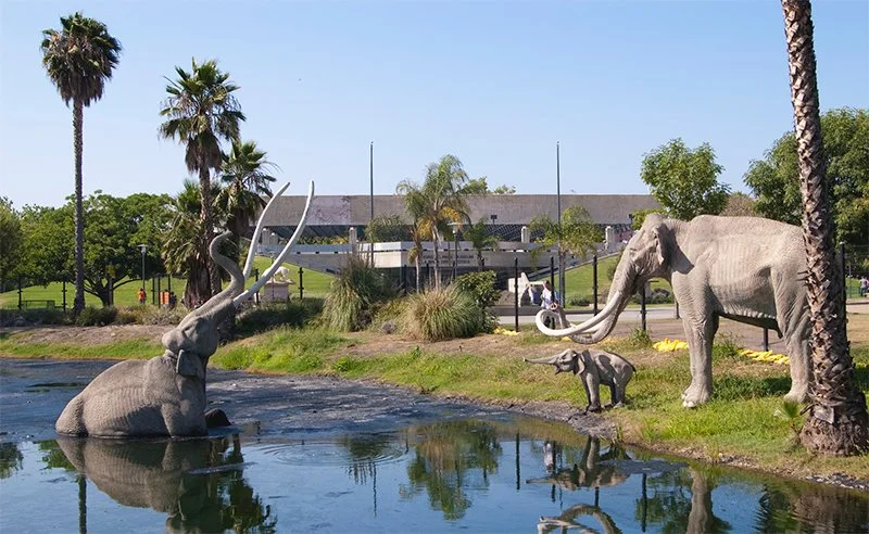 Iconic mastodons at La Brea Tar Pits, with palm trees and the museum in the background.