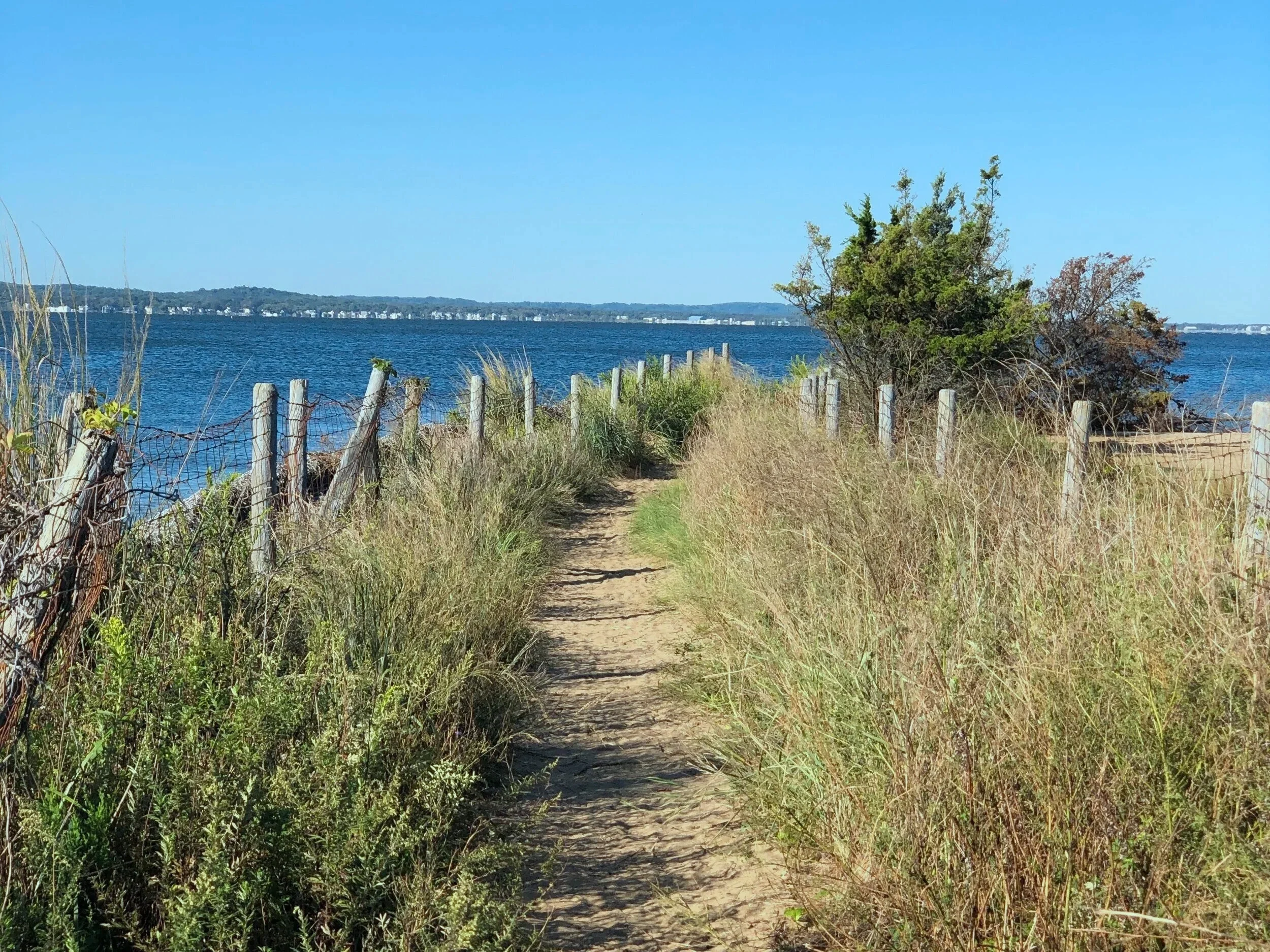 Sandy Hook Beach