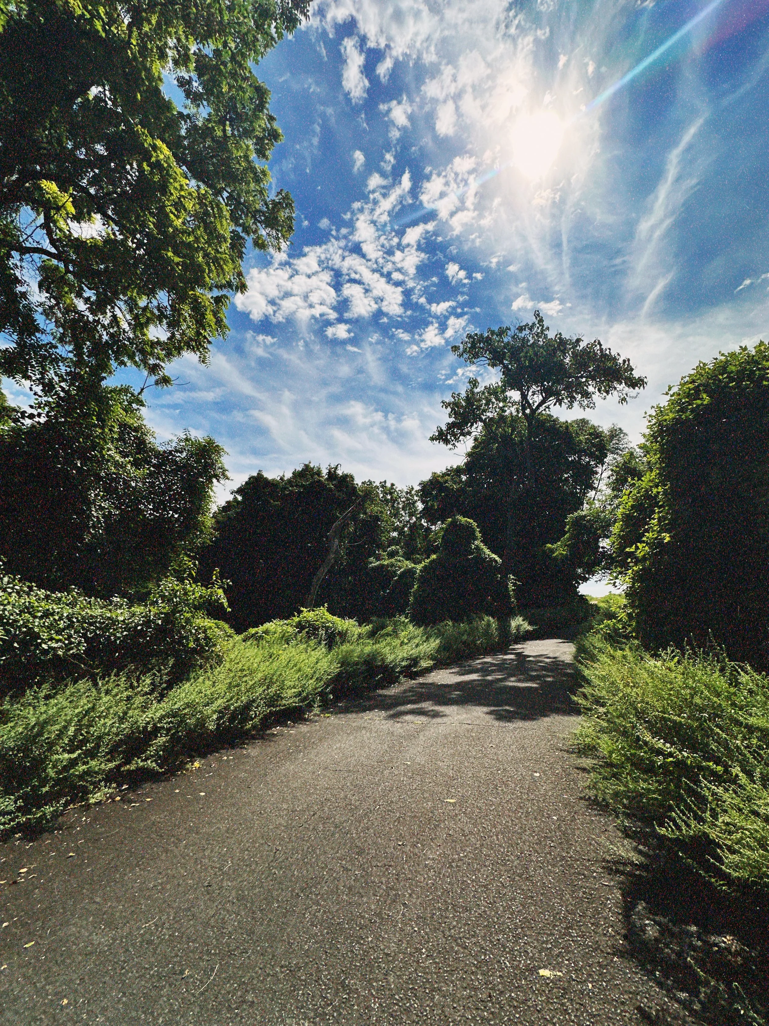 Hartshorne Woods Park