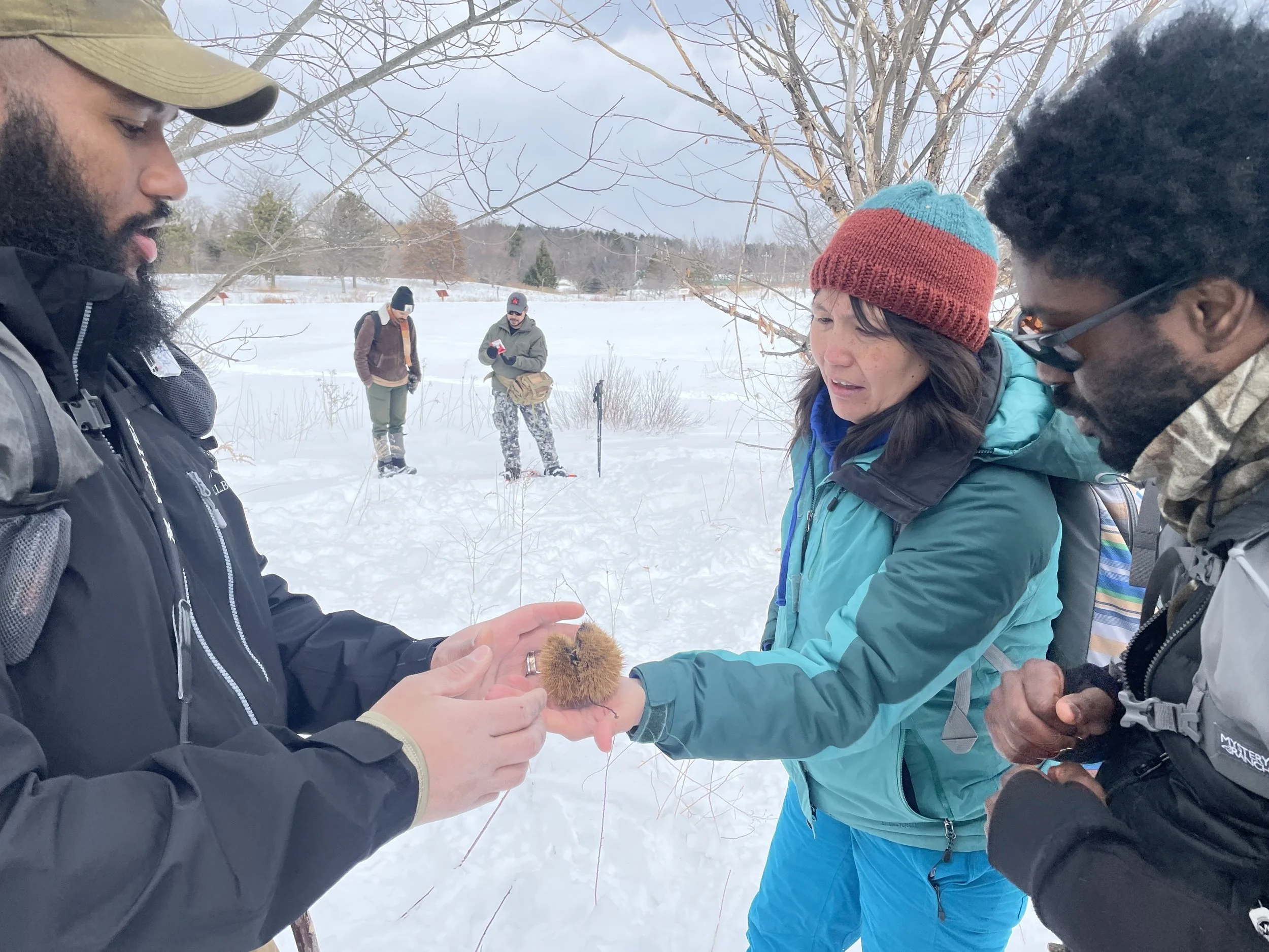 Wildlife Tracking Walk
