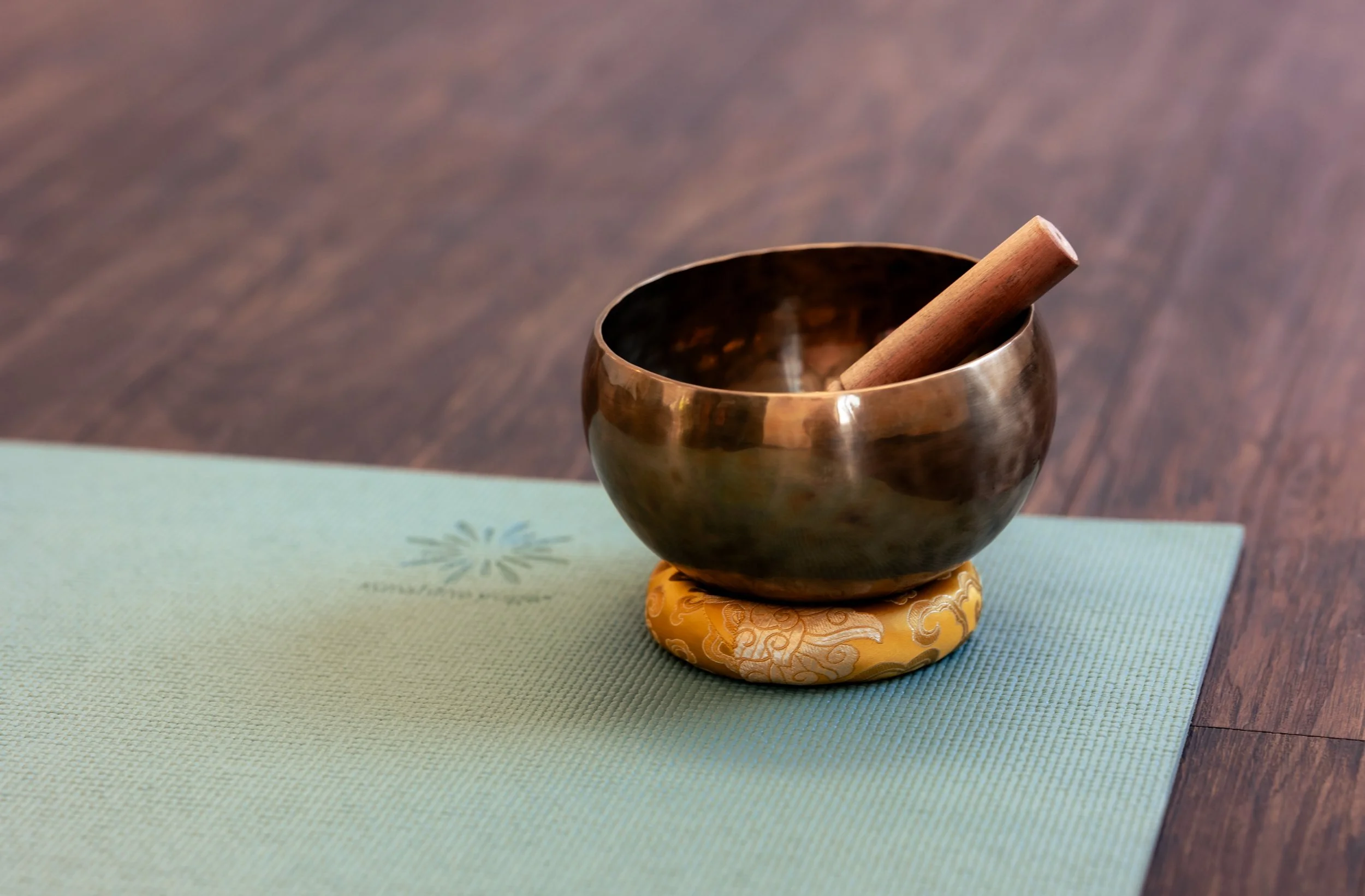 Somatic Conversation: The Edges of Consent, Contact, and Connection