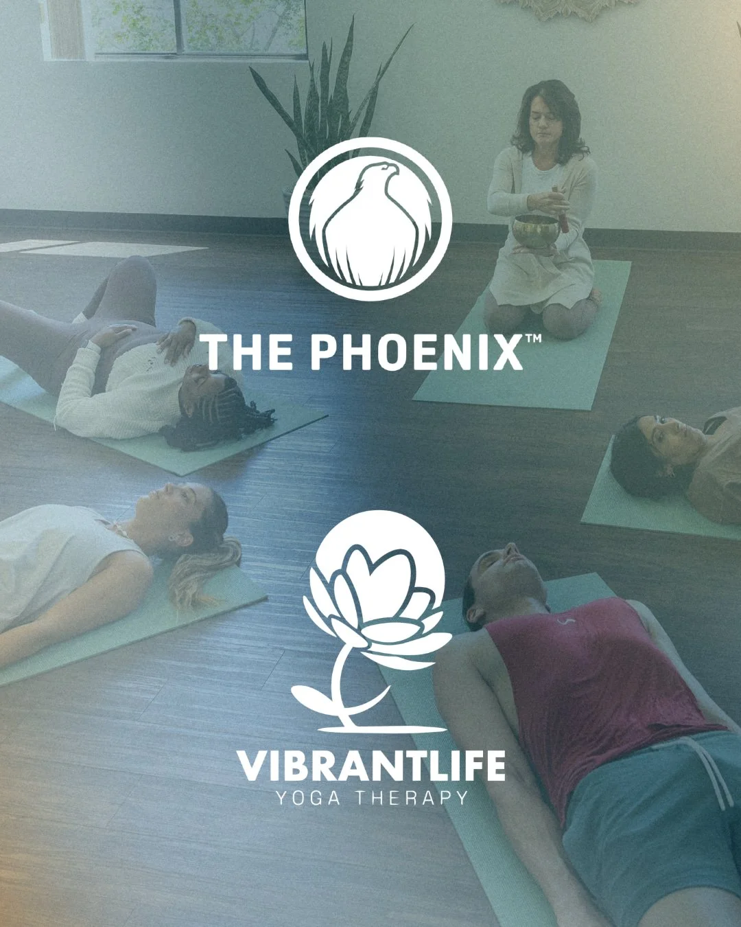 ✨ Big news we're so honored to share.

Our partnership with @ThePhoenix is growing.

The Phoenix is a national sober active community built on a simple but powerful belief: recovery is fueled by connection. Every week, they offer hundreds of free eve