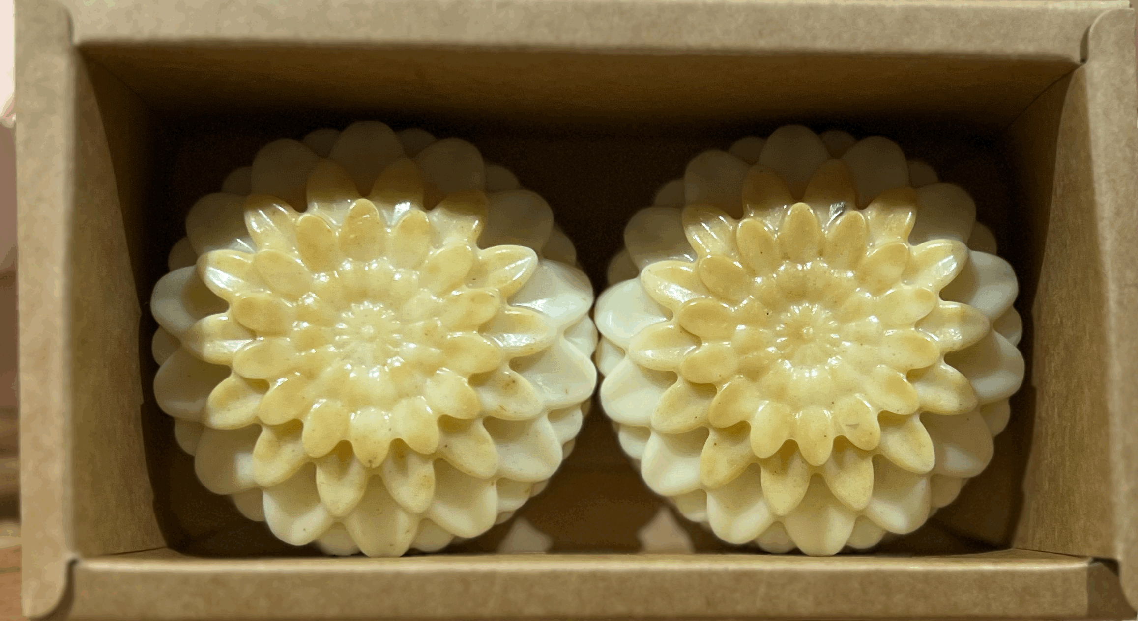 Goosebumps: humbled in the best way