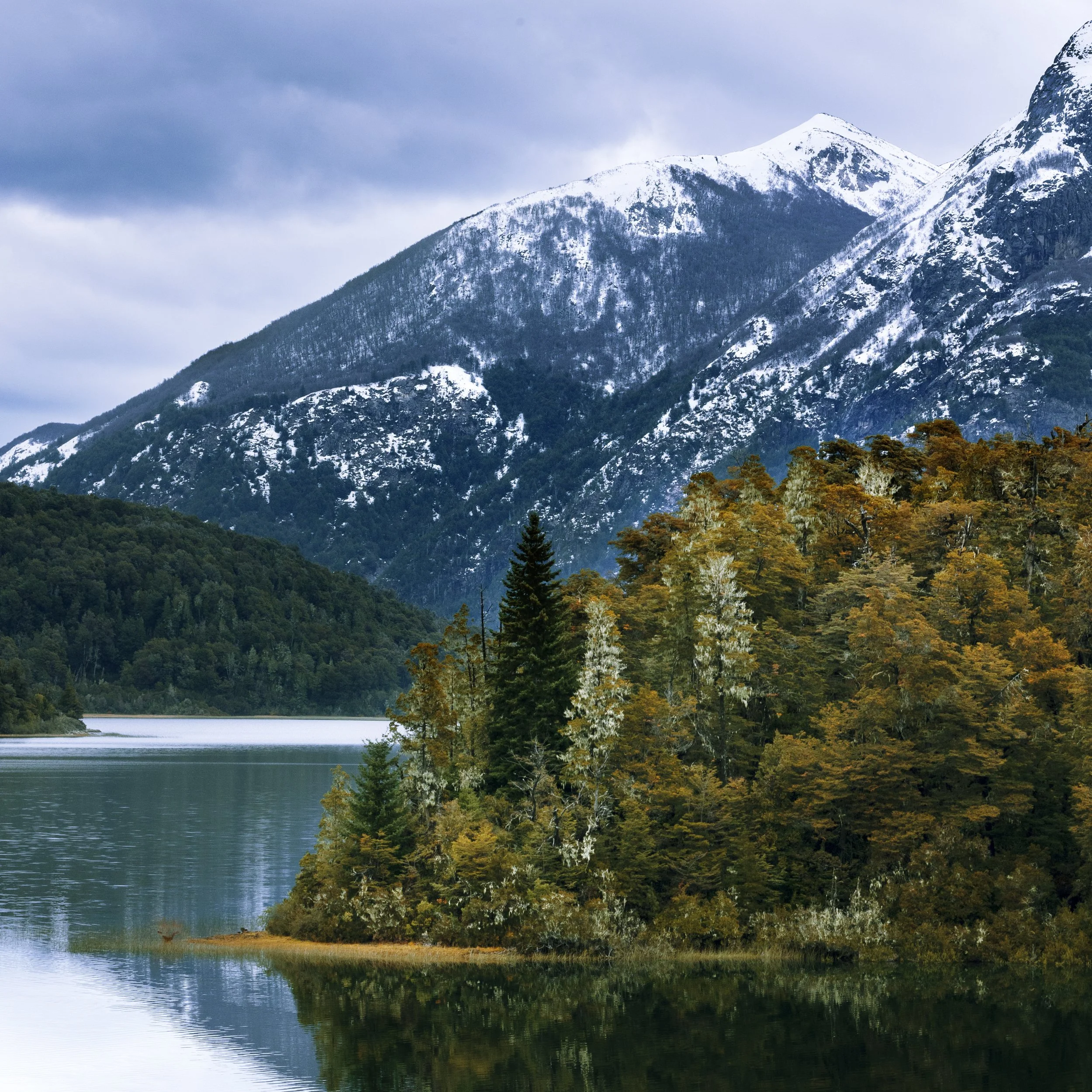 IslandMountain 5square_1.jpg