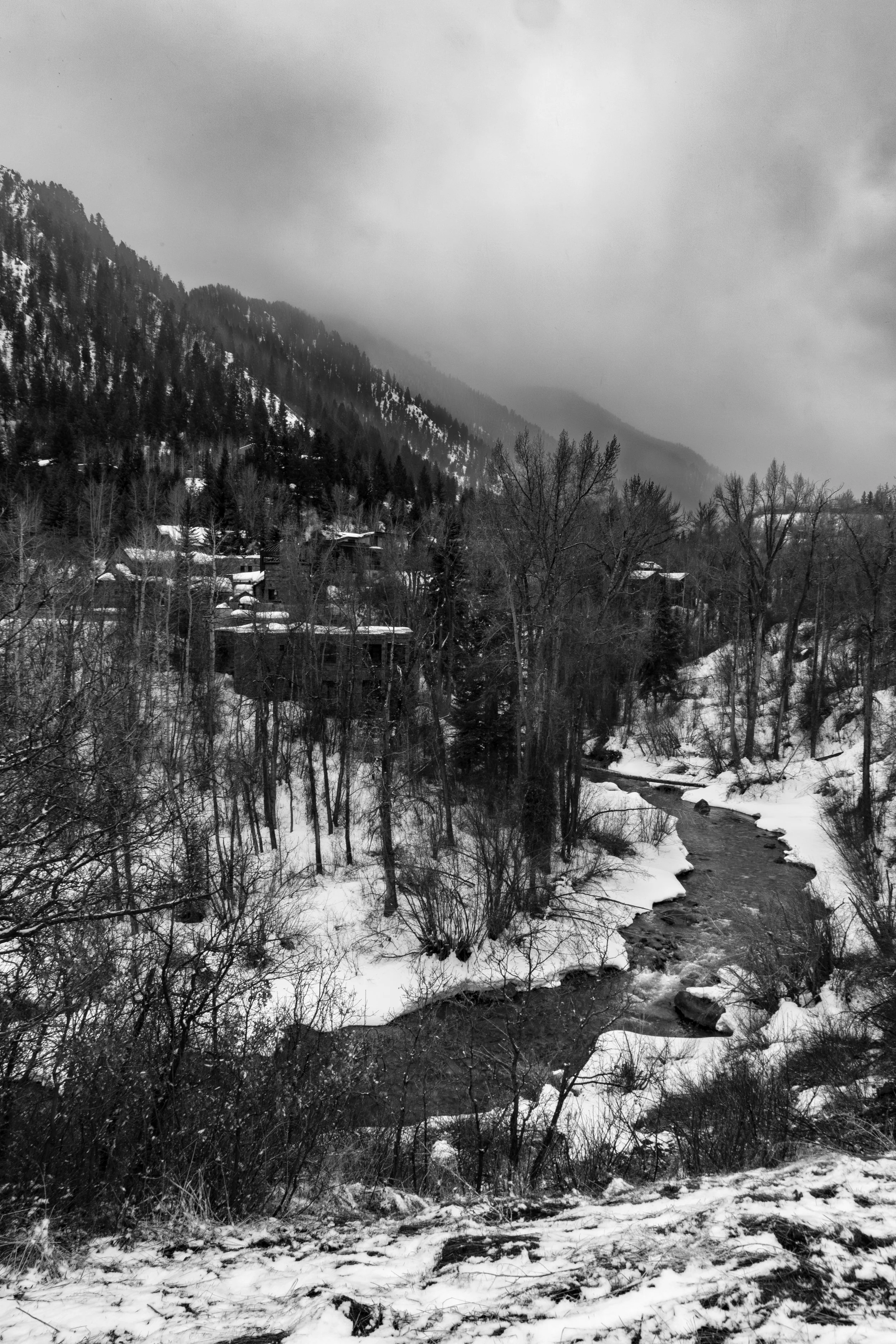 _H0A0960-Enhanced-NR 2.jpg