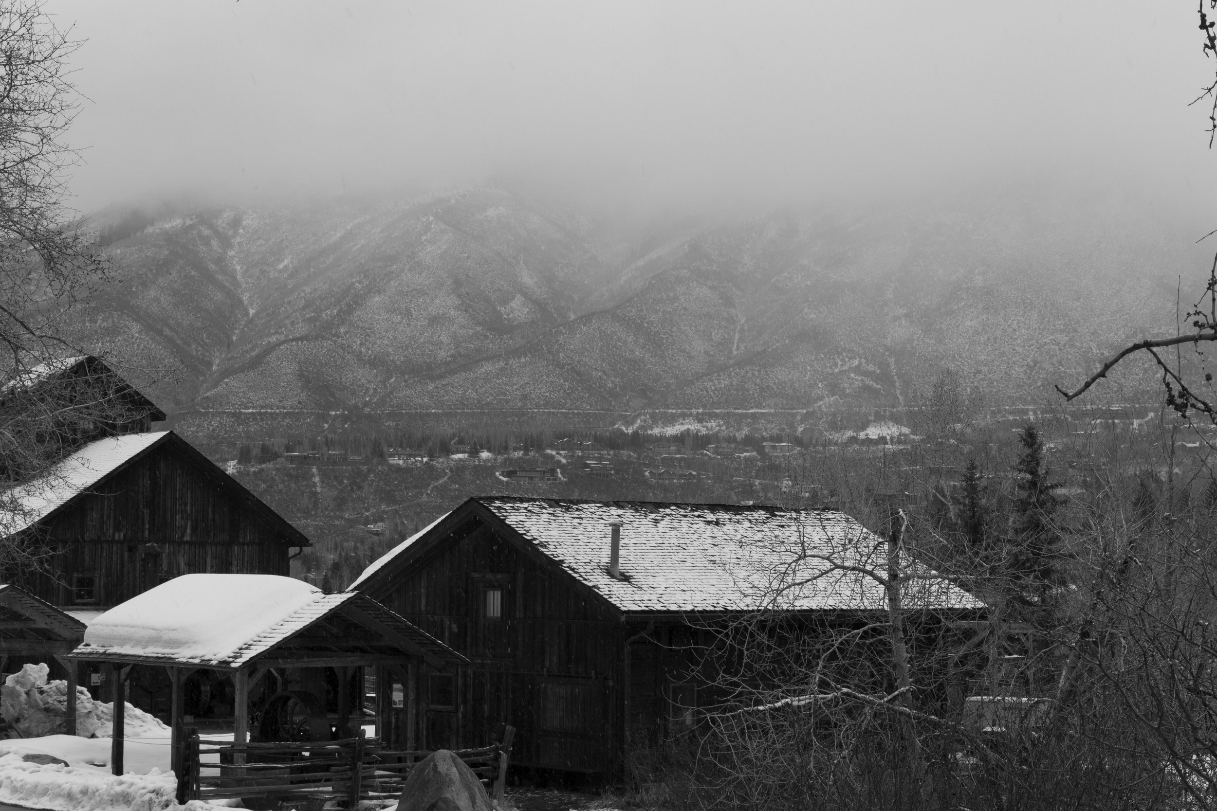 _H0A0925.jpg