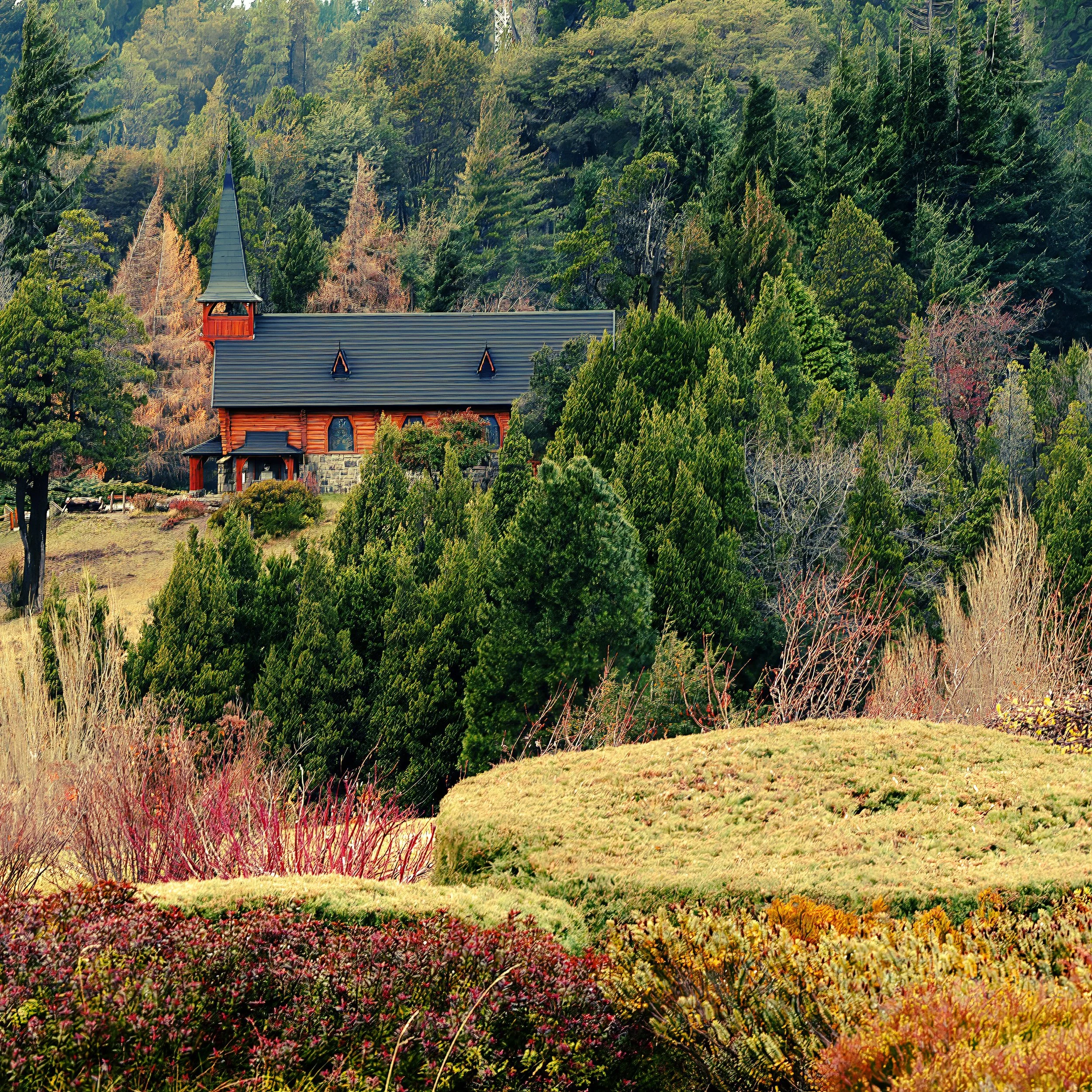 houseinthewoods 5square.jpg