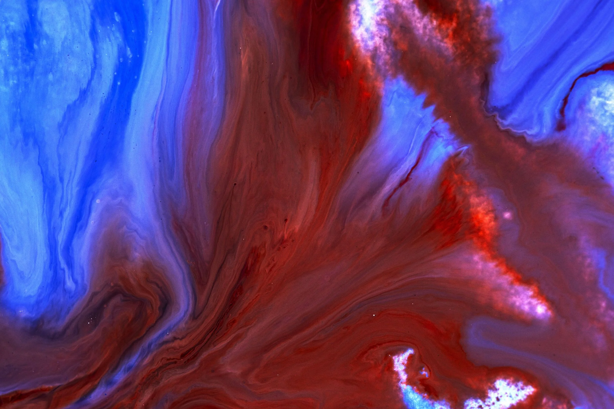 _U1A0434.jpg