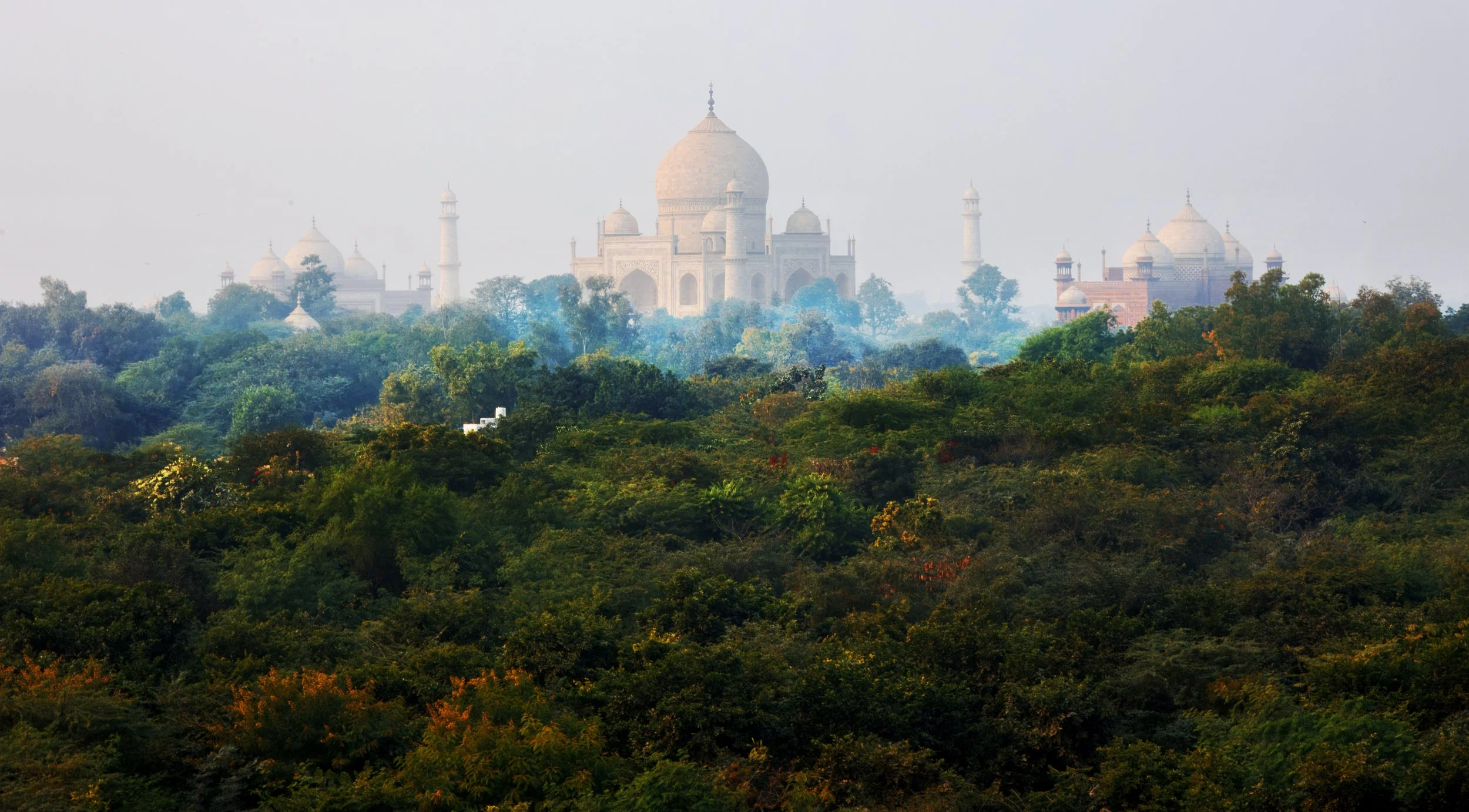 Taj_4.jpg