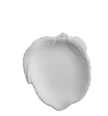 Screenshot 2026-03-12 at 3.41.47 PM.png