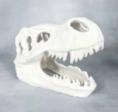 T Rex Skull