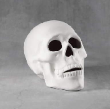 Screenshot 2026-03-04 at 2.30.48 PM.png