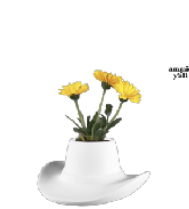 Screenshot 2026-03-12 at 3.36.31 PM.png