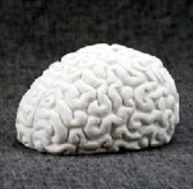 Screenshot 2026-03-11 at 3.46.43 PM.png