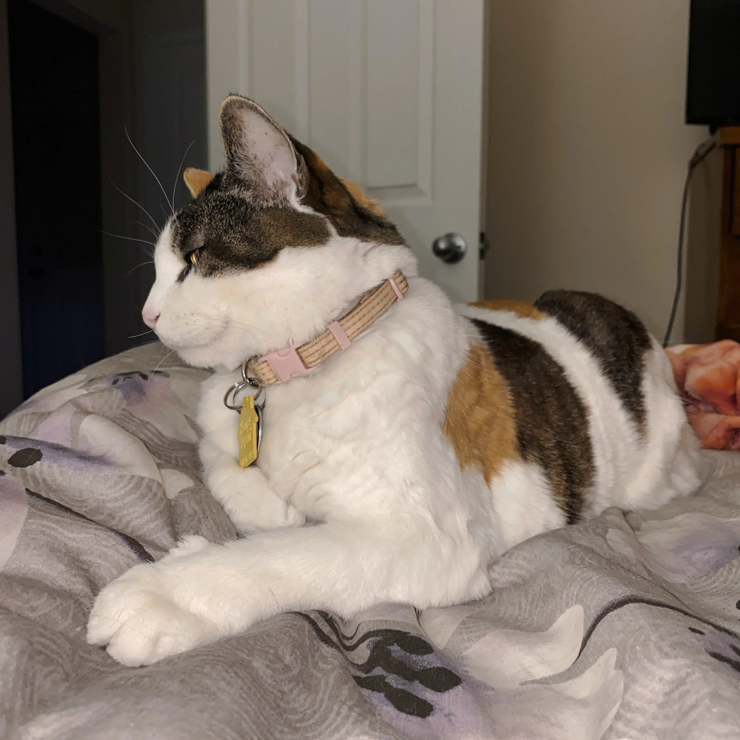 What a diva.