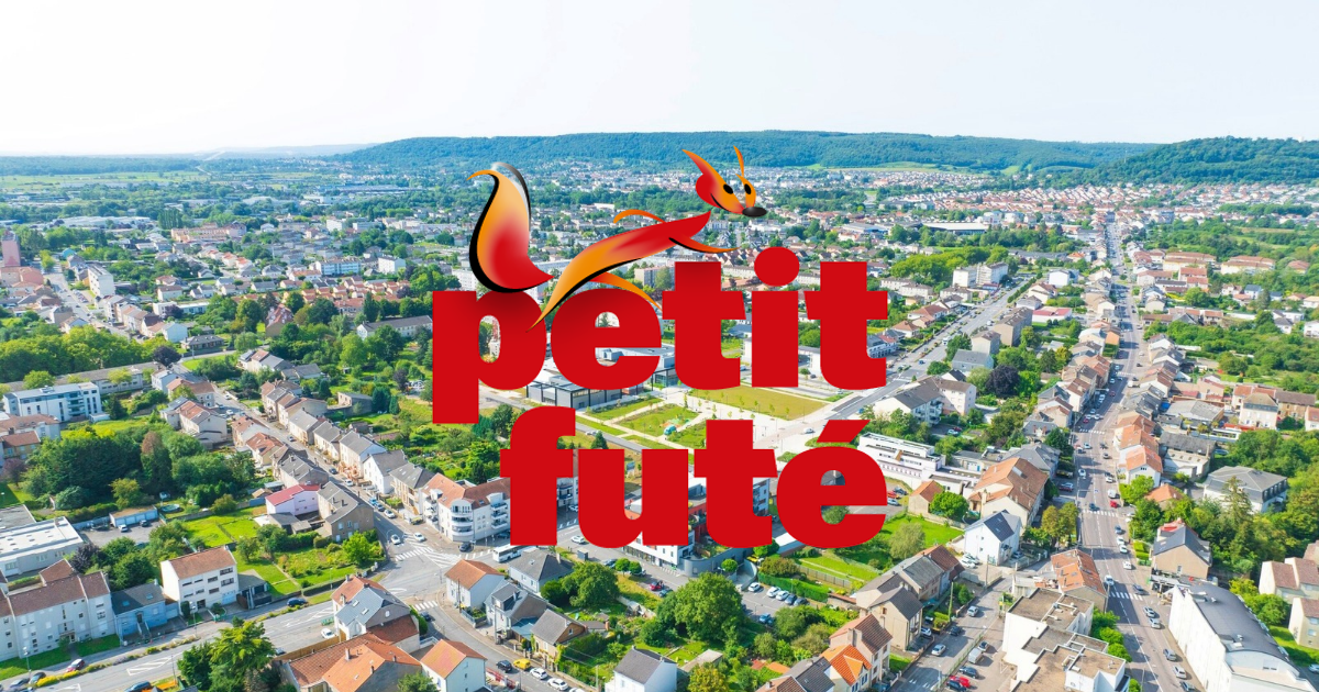 Vue aérienne d'une ville avec des maisons et des bâtiments, surmontée du logo de Petit Futé, une petite salamandre orange et rouge