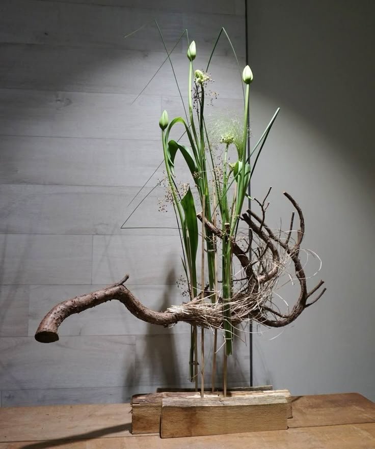 Atelier - Structure Folle - 12/11/26