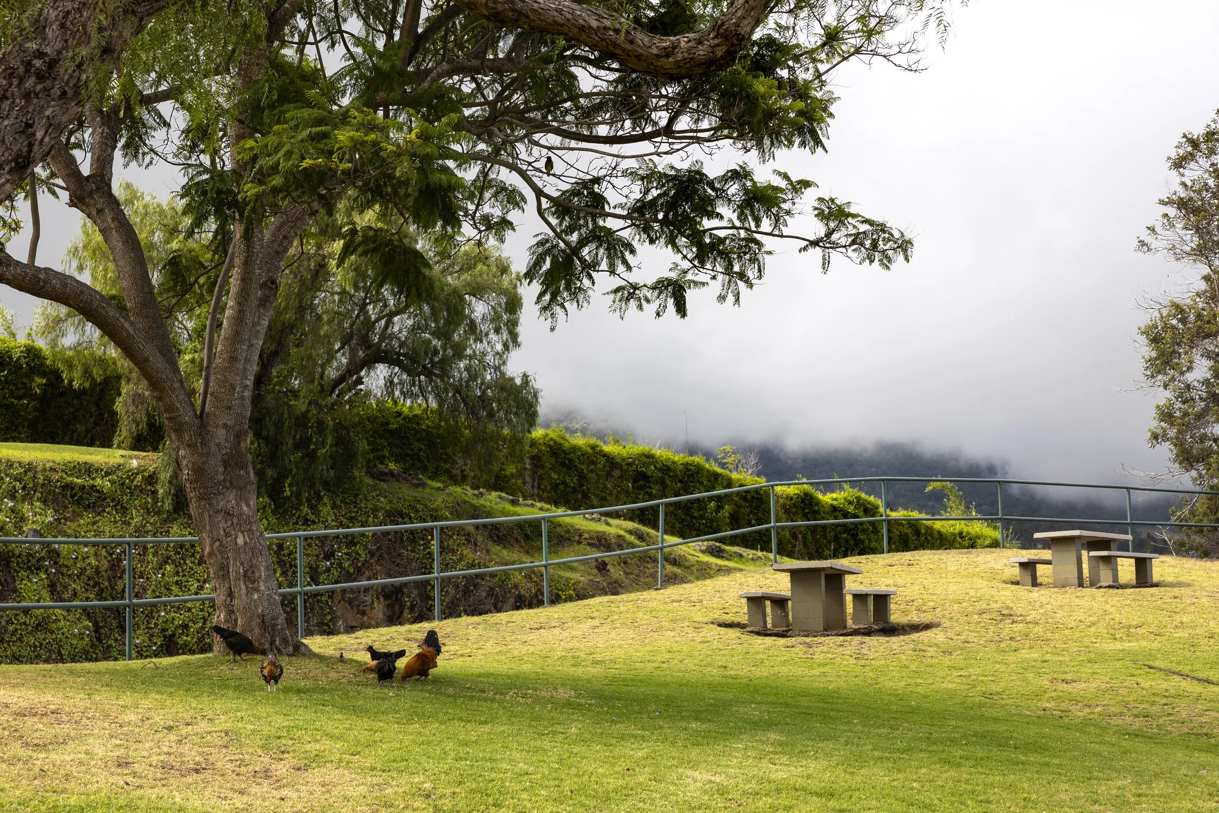 ChickenMountain copy.jpg