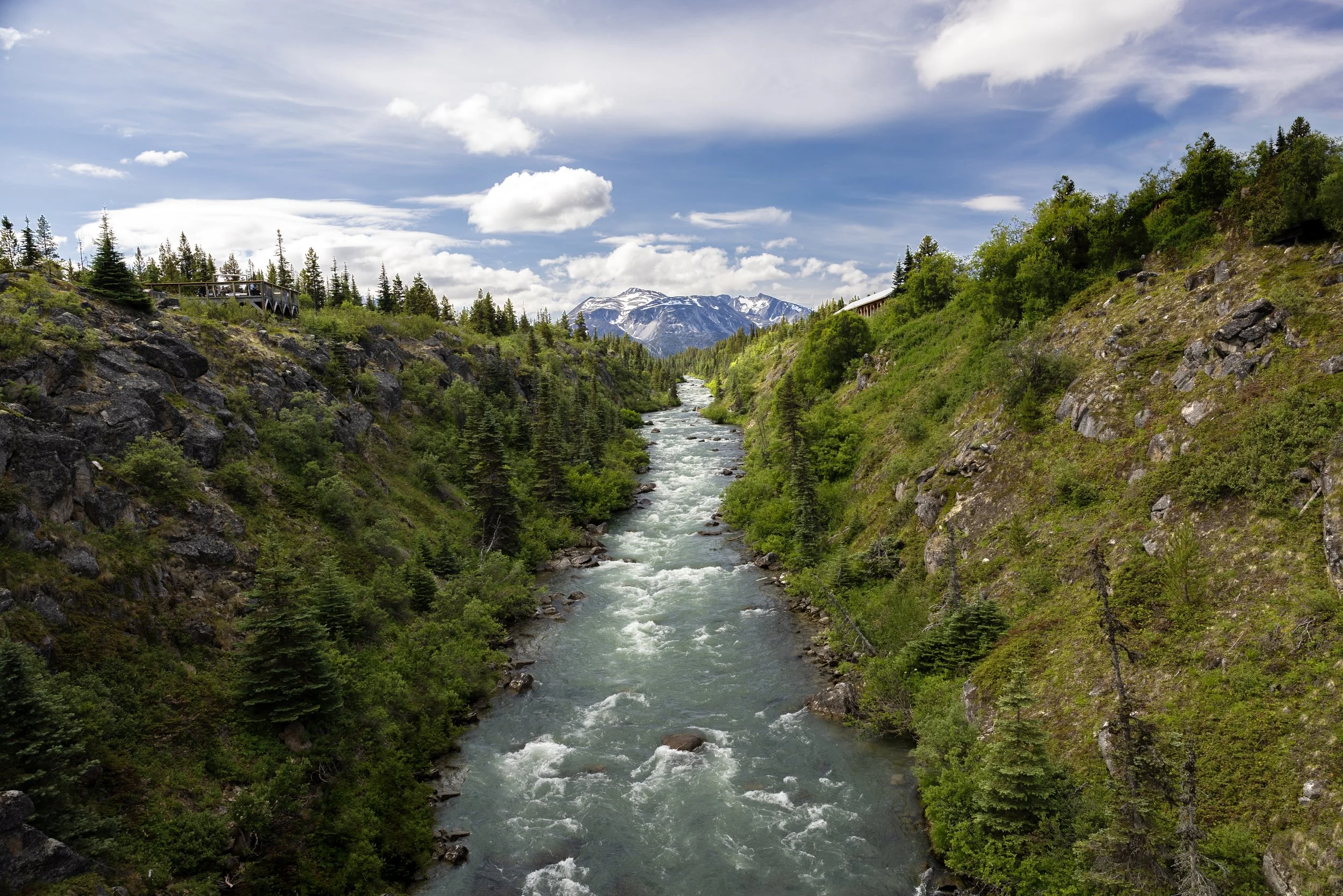 MountainRiver copy.jpg