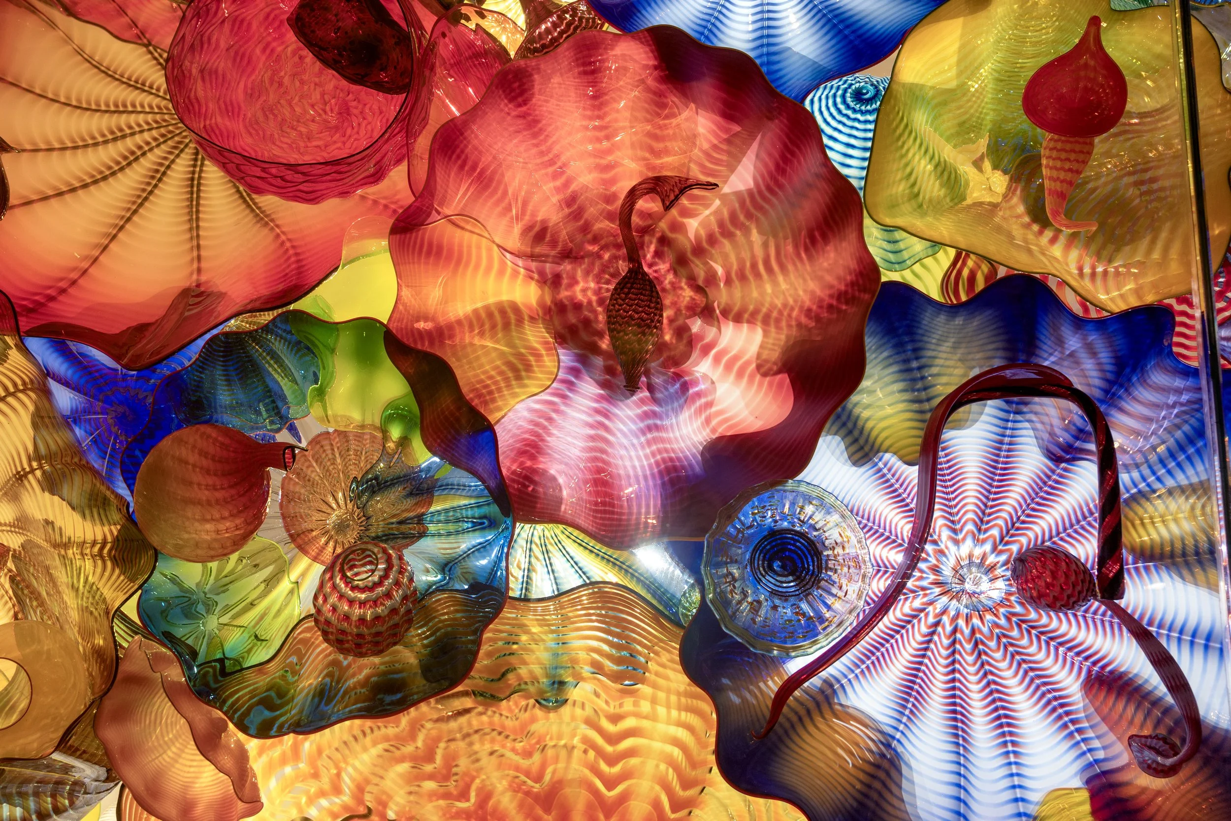 Flowers copy.jpg