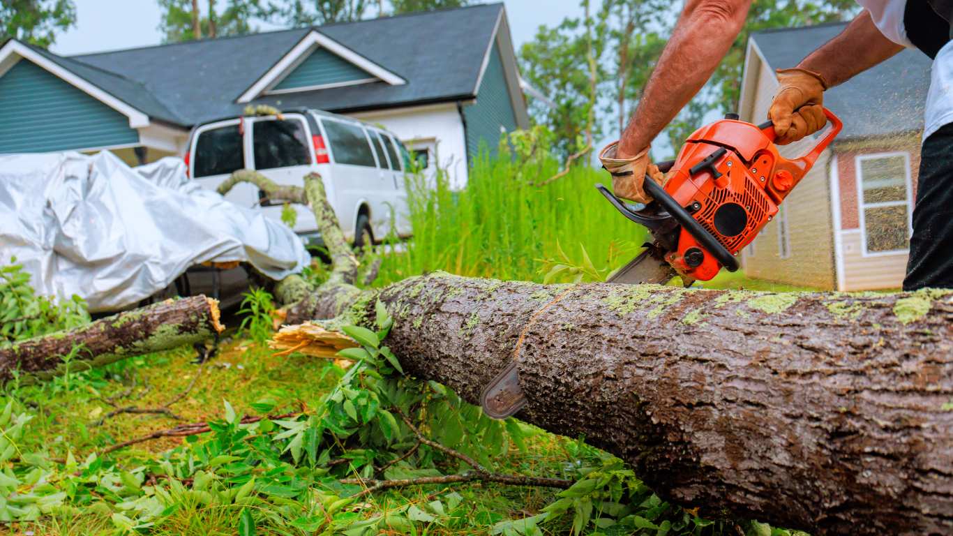A person cutting a fallen tree with an orange chainsaw in a yard, with a house and a white van in the background.