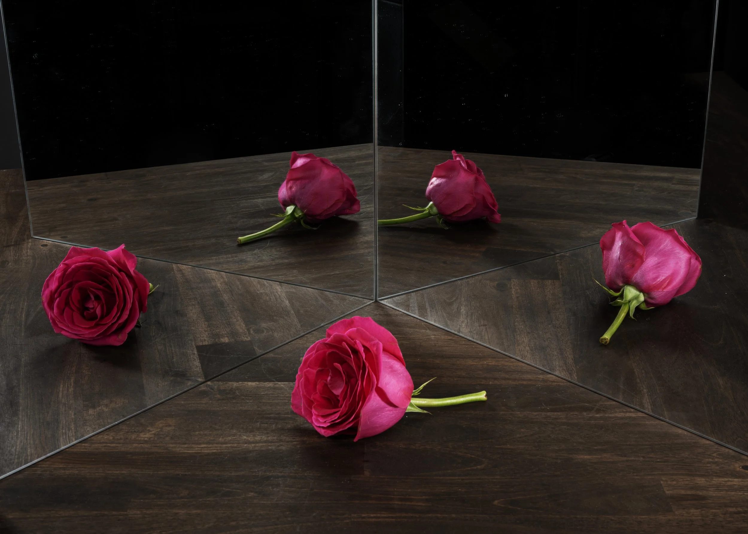 A mirror on a dark wooden floor reflecting pink roses, with some roses lying on the floor around the mirror.