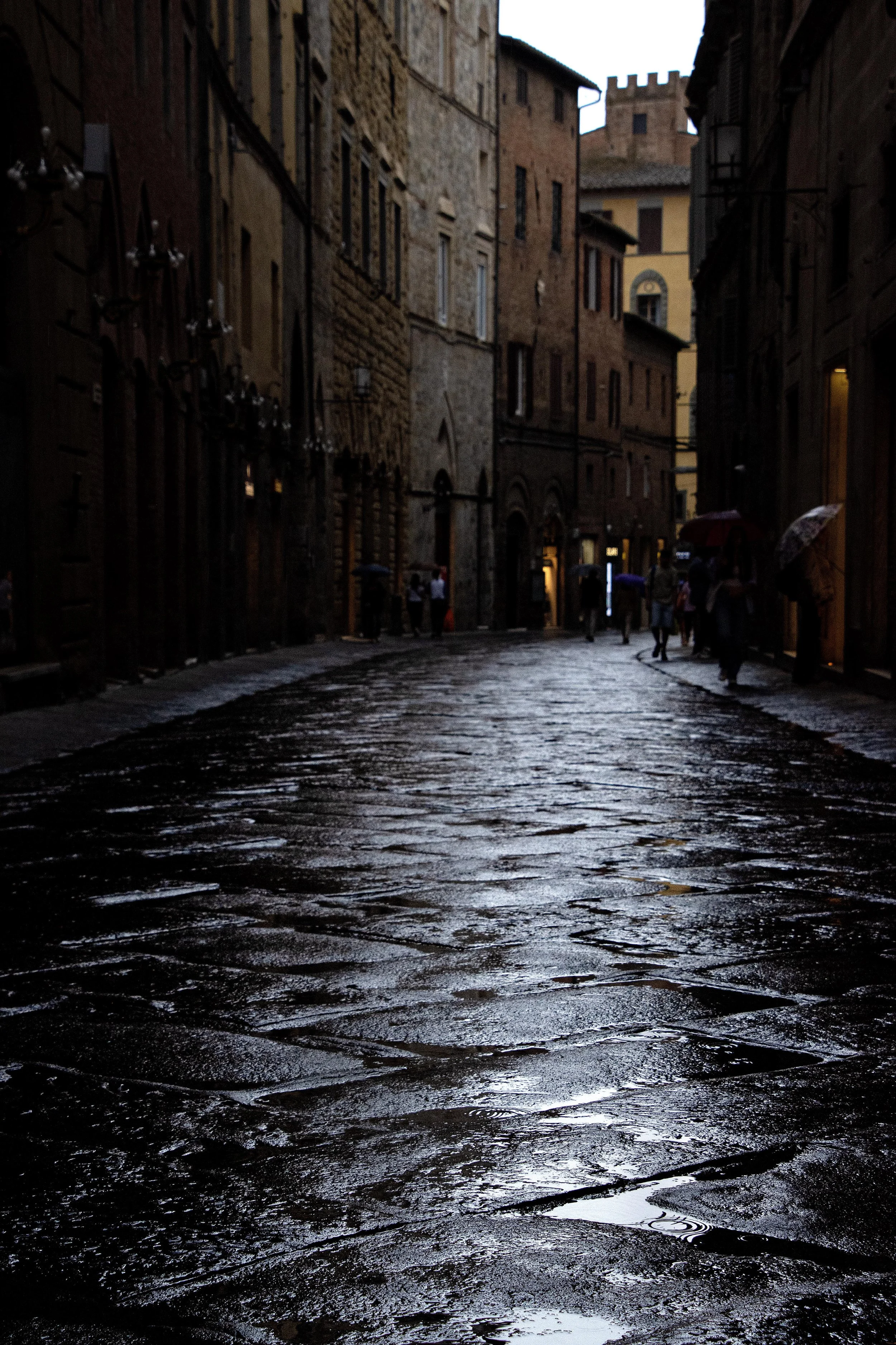 raininsiena1 better copy.jpg