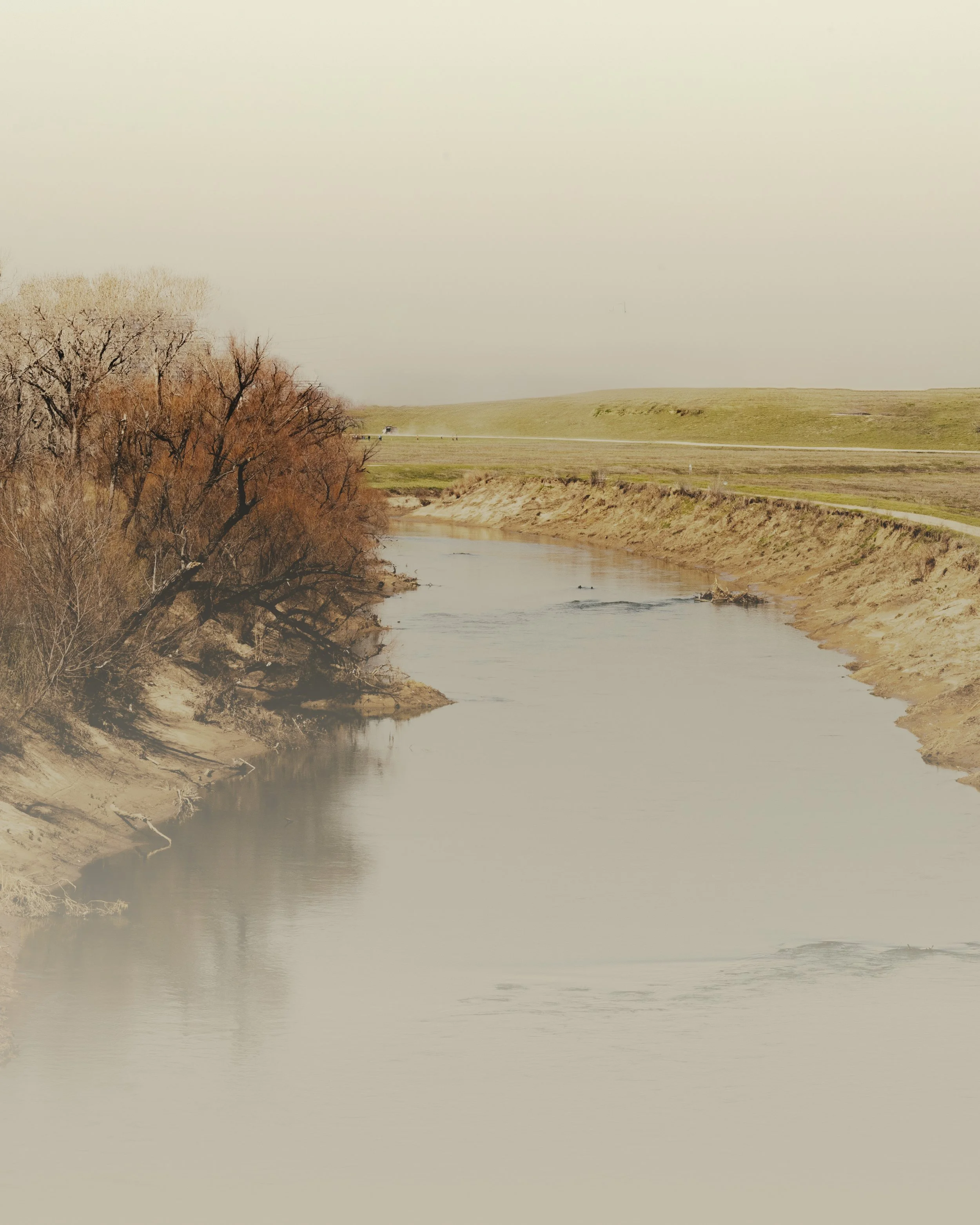 A river flowing through a landscape with trees on the left side and grassy hills in the background