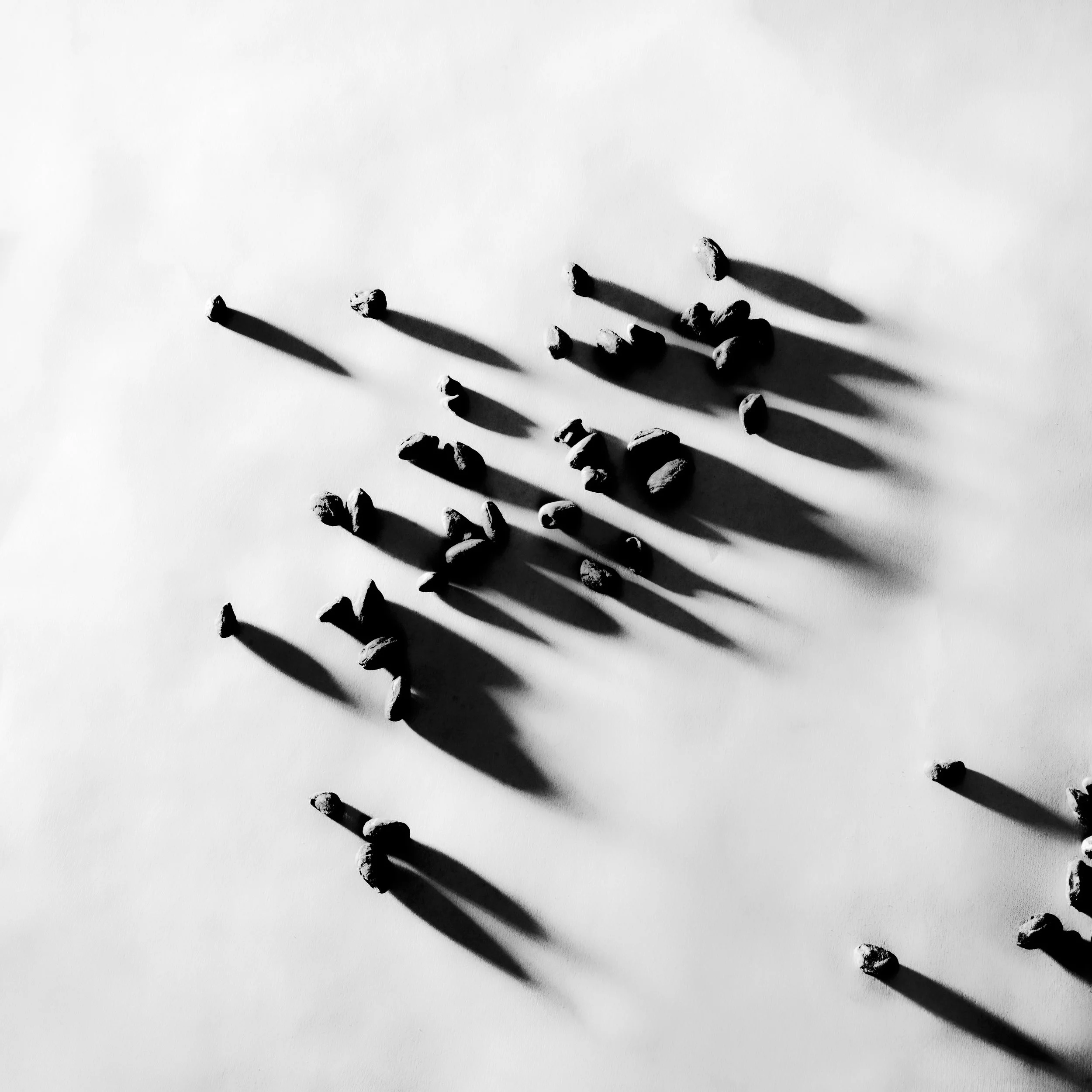 Black and white photograph of scattered small rocks casting long shadows on a white background.