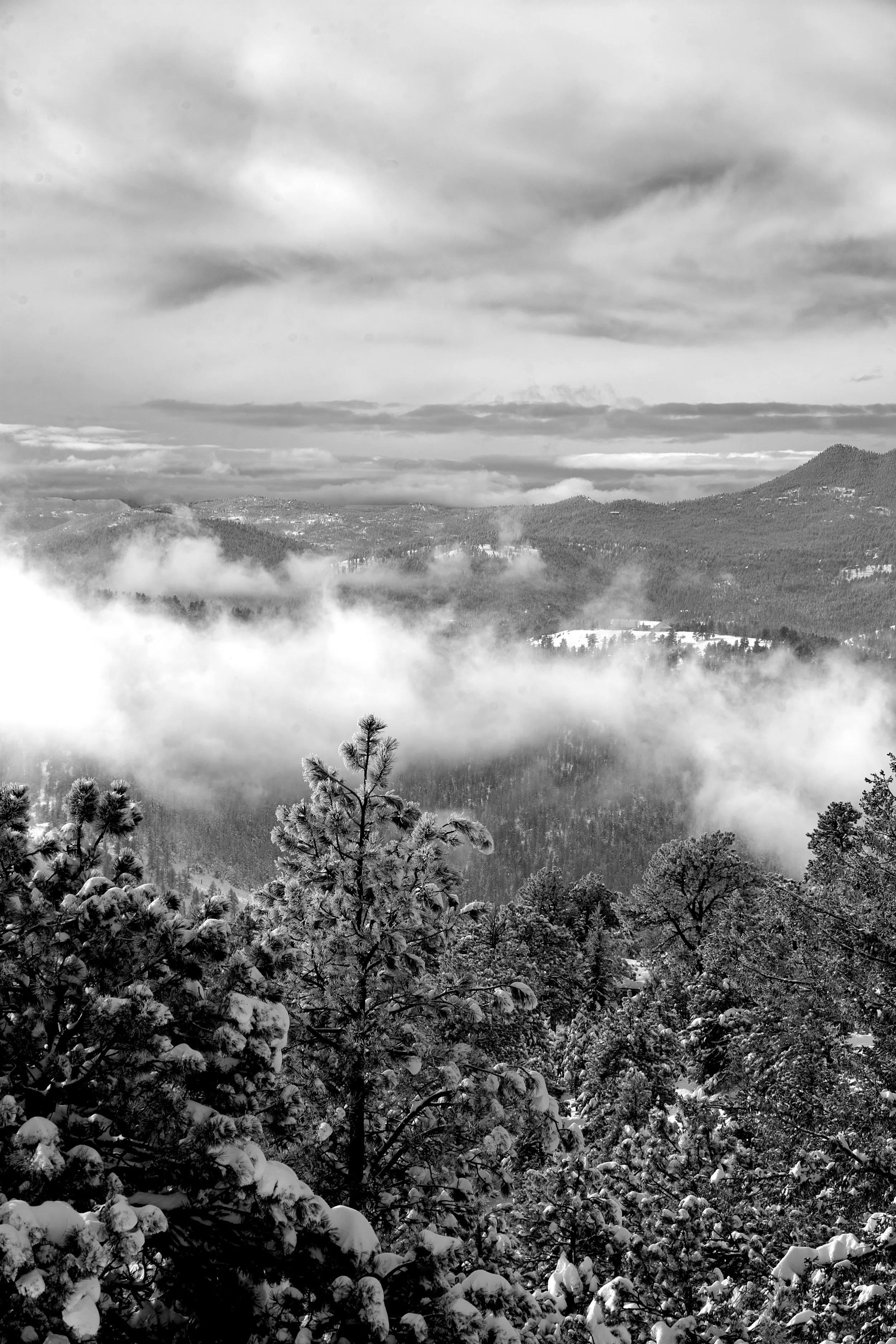 Black and white photograph of snow-covered trees in a mountainous landscape with clouds and mist in the sky.