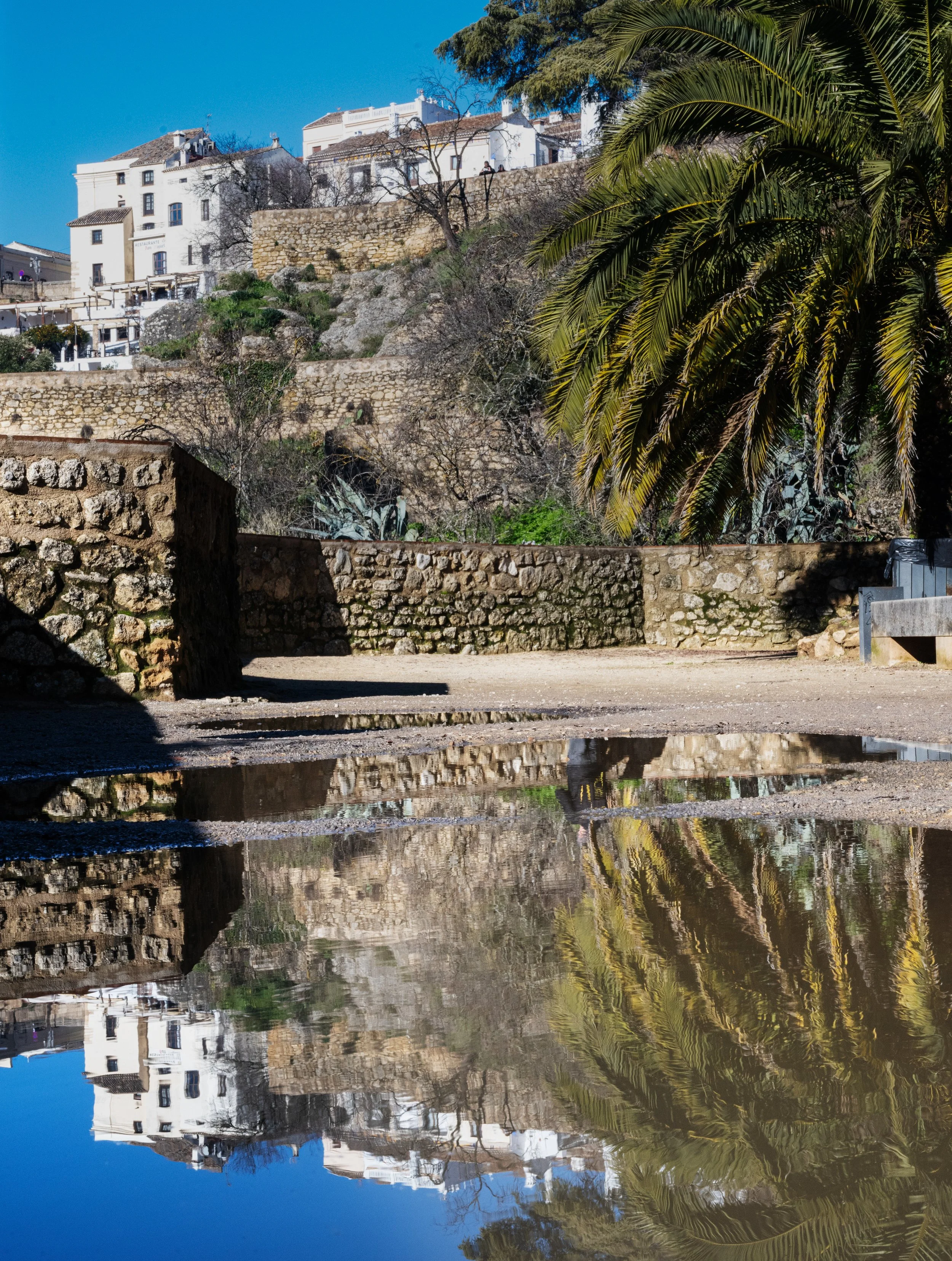 A reflection of white buildings and green palm trees in a calm body of water with a clear blue sky.