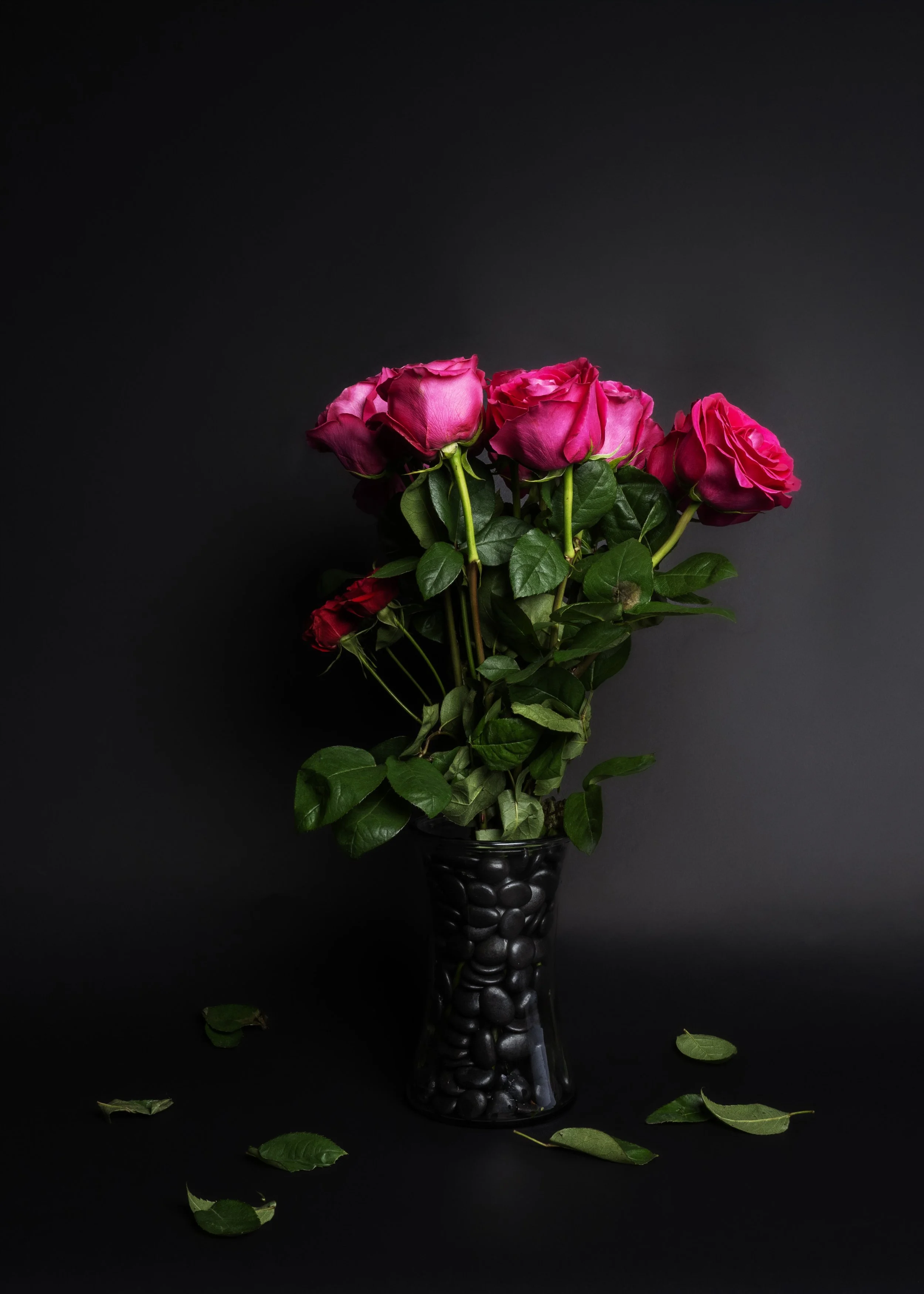 Pink roses in a black vase against a black background with scattered green leaves.