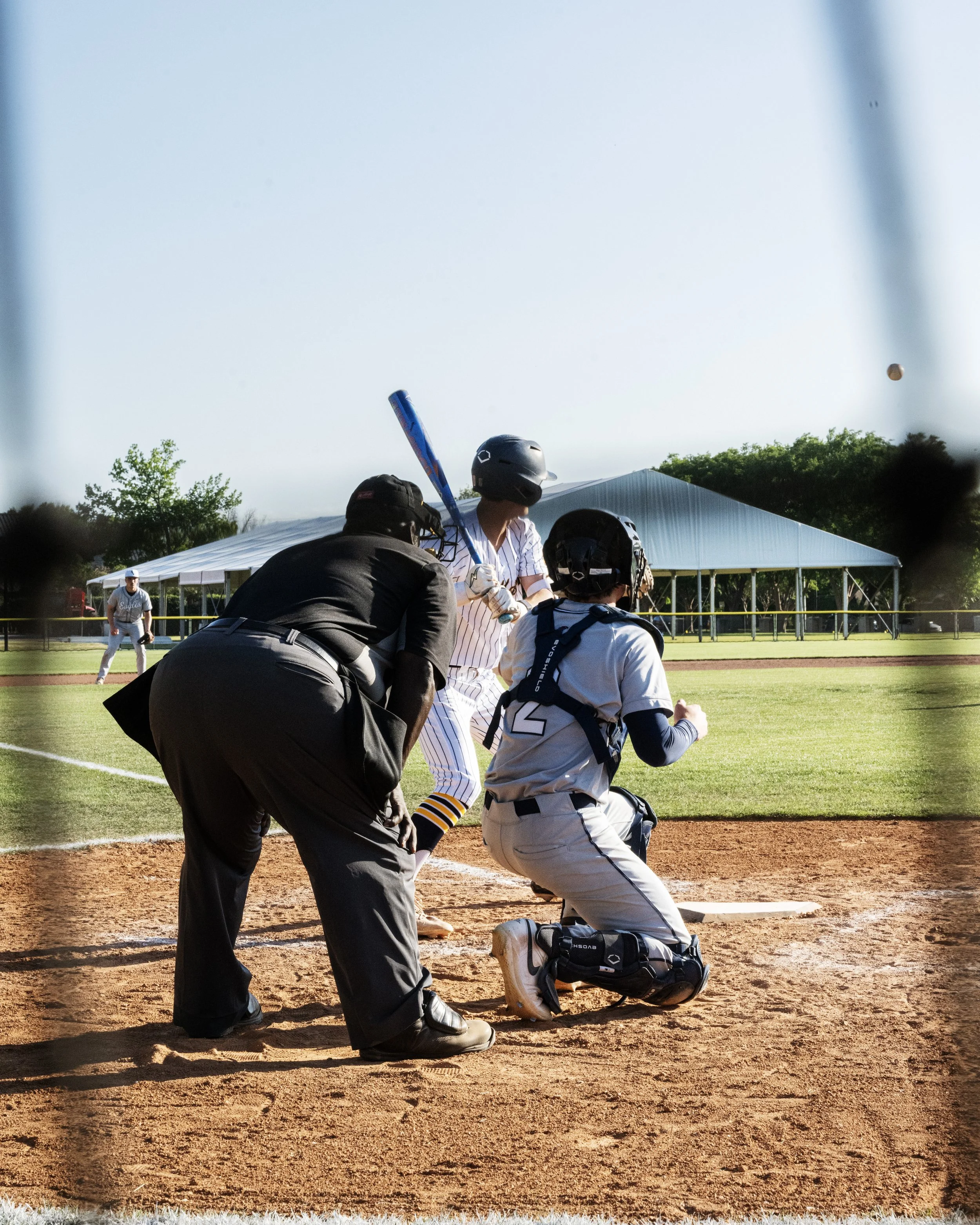 Battingnet1.jpg