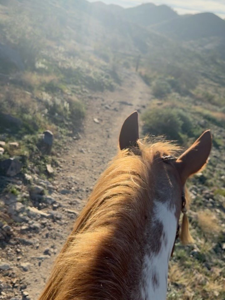 When there is trust your heart rates sync and the nervous systems align. Co-regulating🤍