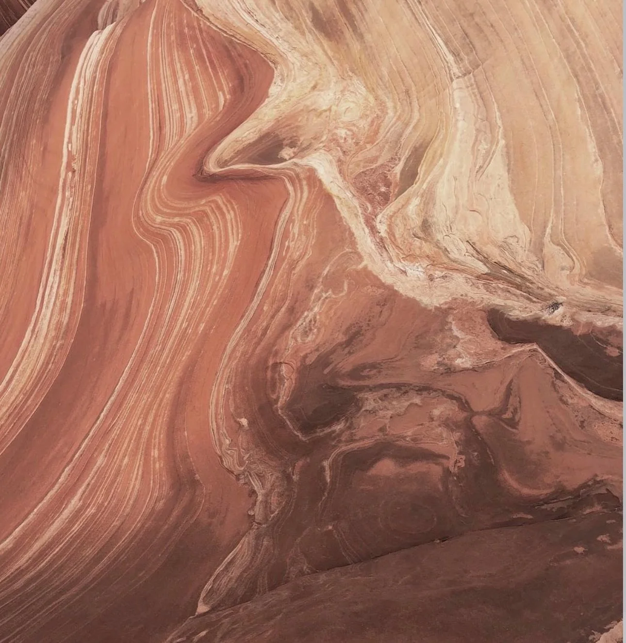 In my mind lately&hellip;.