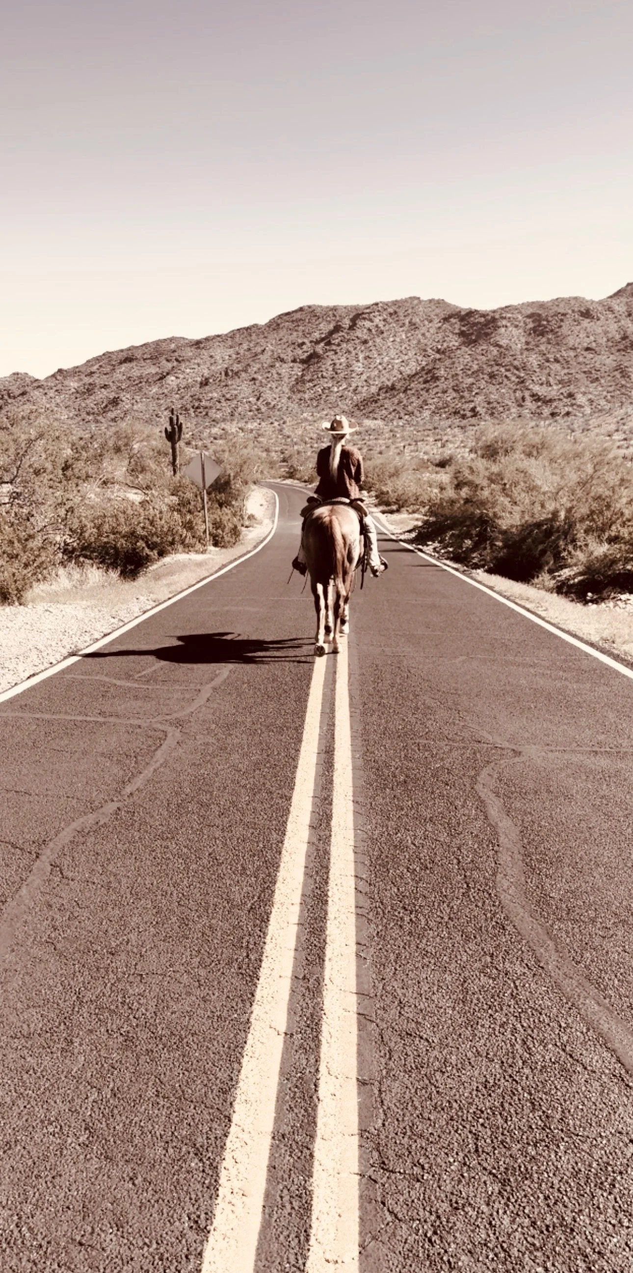 Western fine artist Erika Lenaye riding her horse down a rural road in Arizona